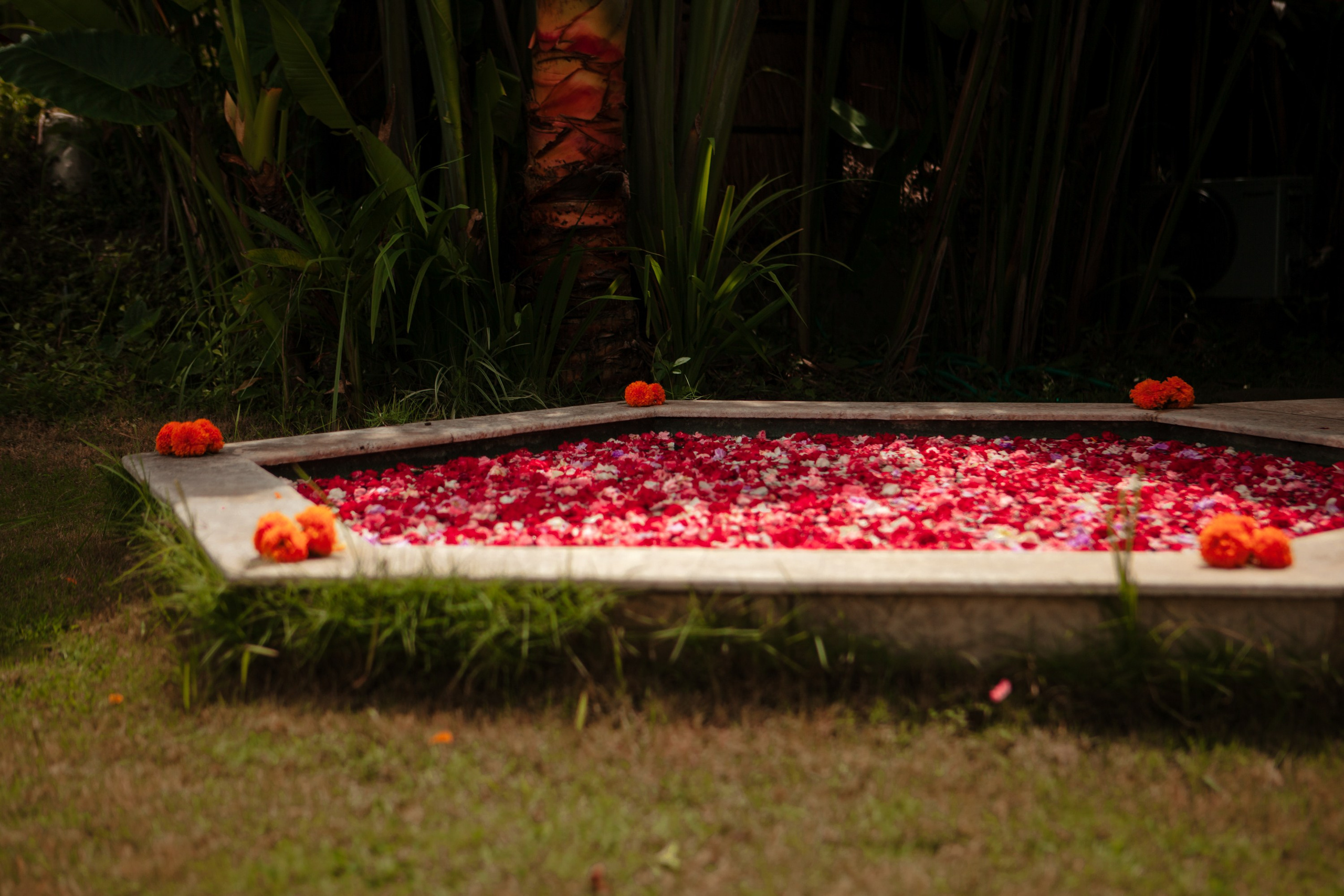 Вилла Sunrise Bali. Виолетта Скрипка