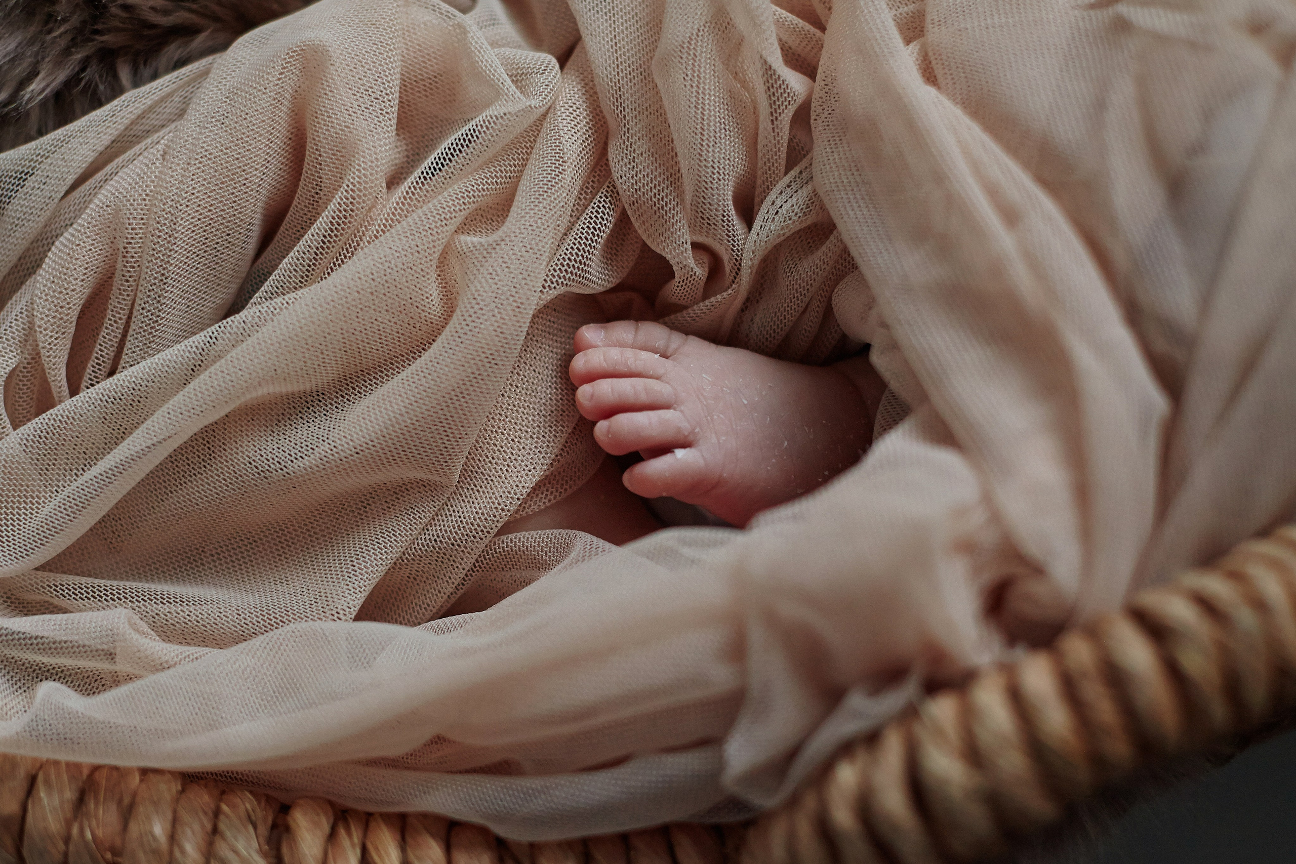 Есения. Фотограф Ольга Ефремова