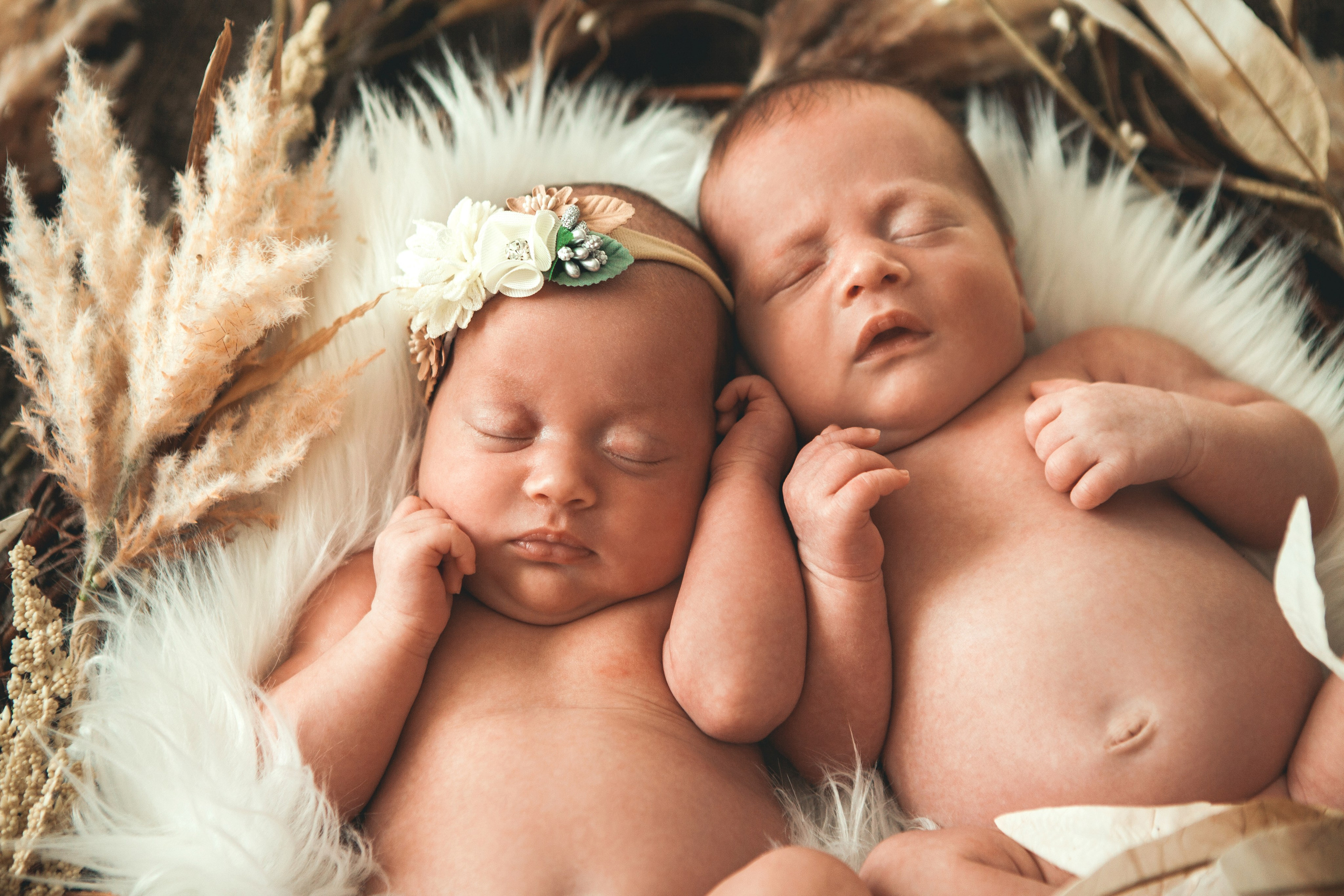 Двойняшки. Фотограф Ольга Ефремова