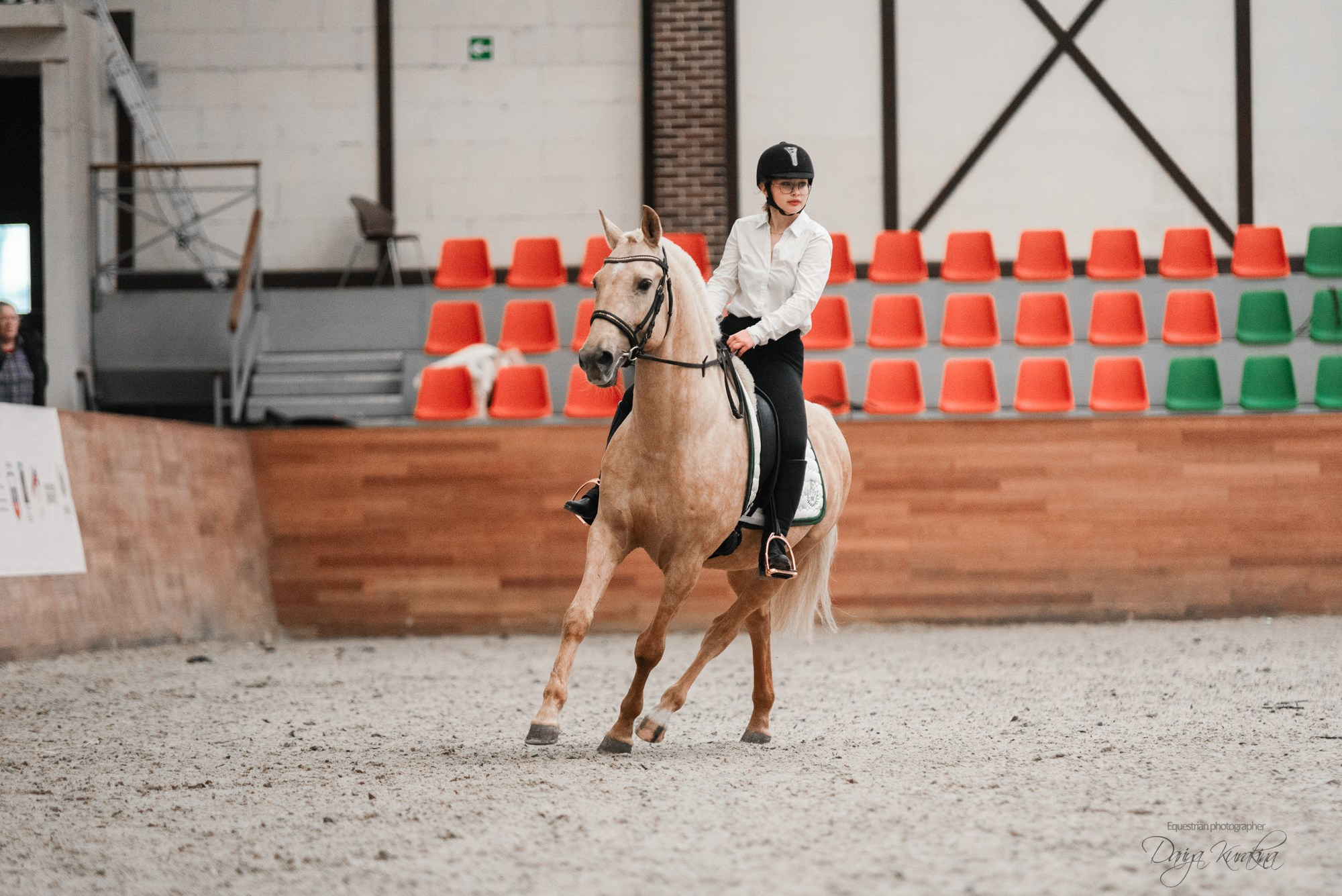 8-я международная выставка Конная Россия. Конный фотограф Куракина Дарья • Фотосессии с лошадьми