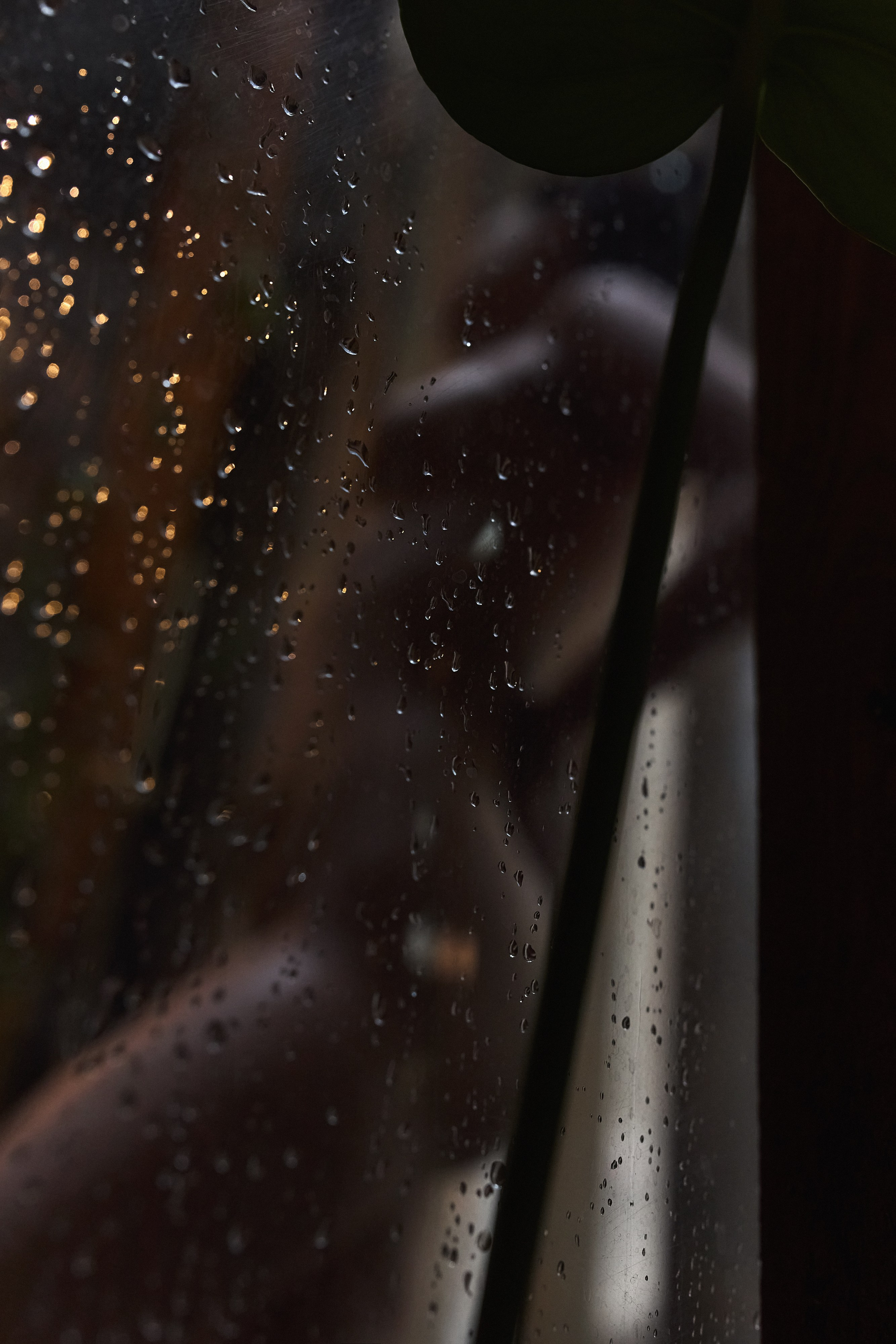 Настя, Бали. Фотограф Игорь Михайлов