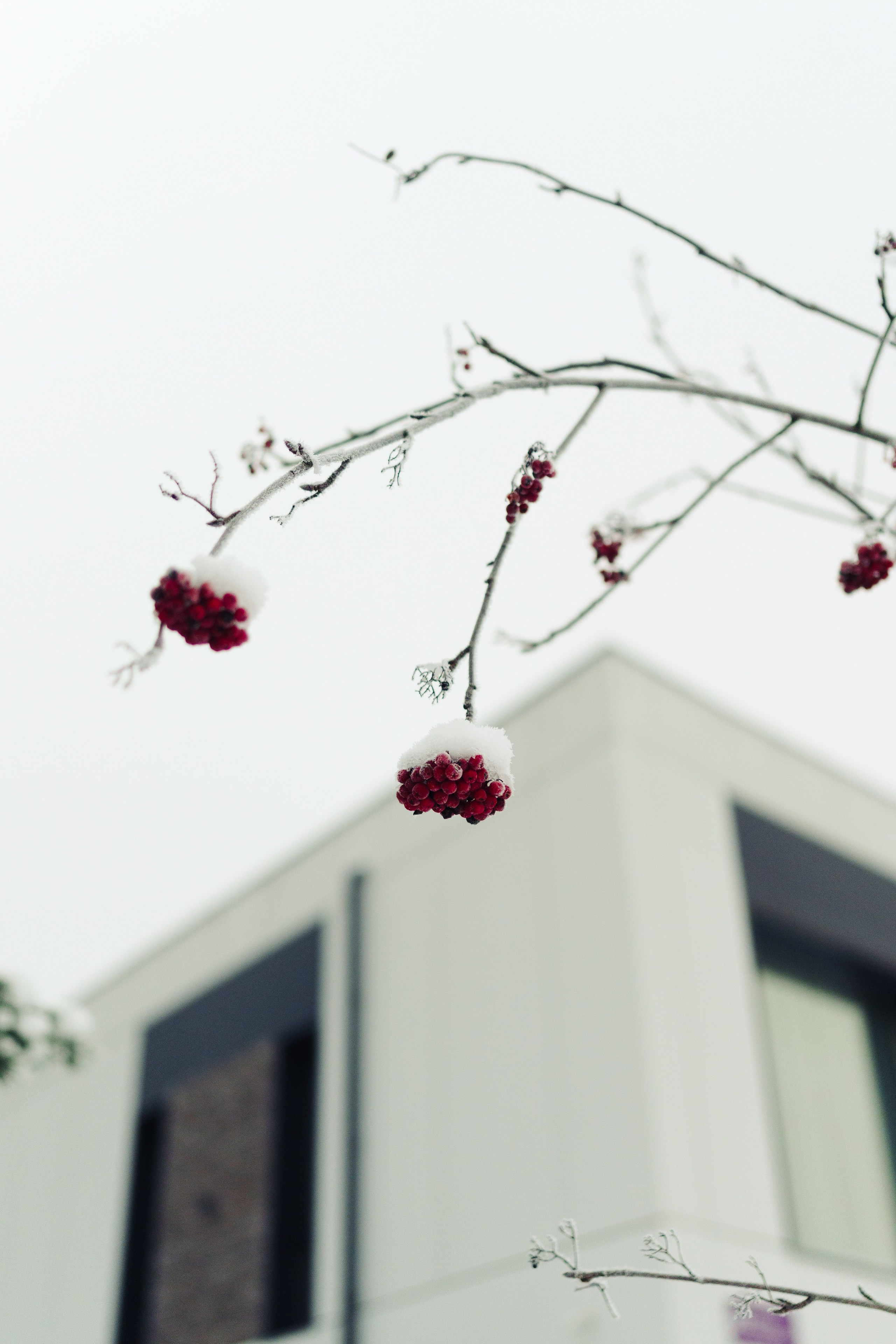 Corner Kaltino by Unistroy. Фотограф в СПБ Алмаз Камаев