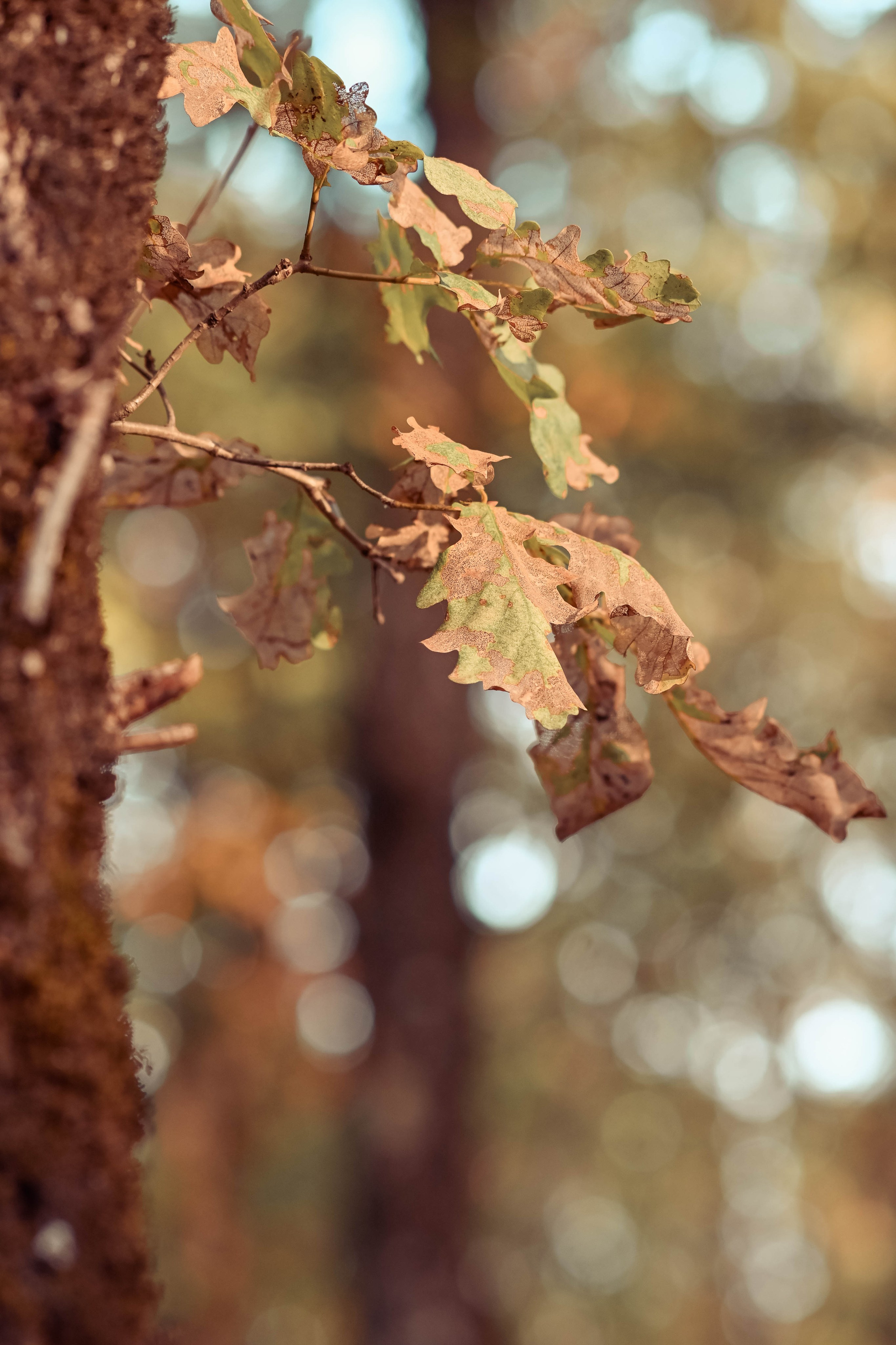 Веселые девчата. Предметный фотограф в Горячем Ключе Вера Швец