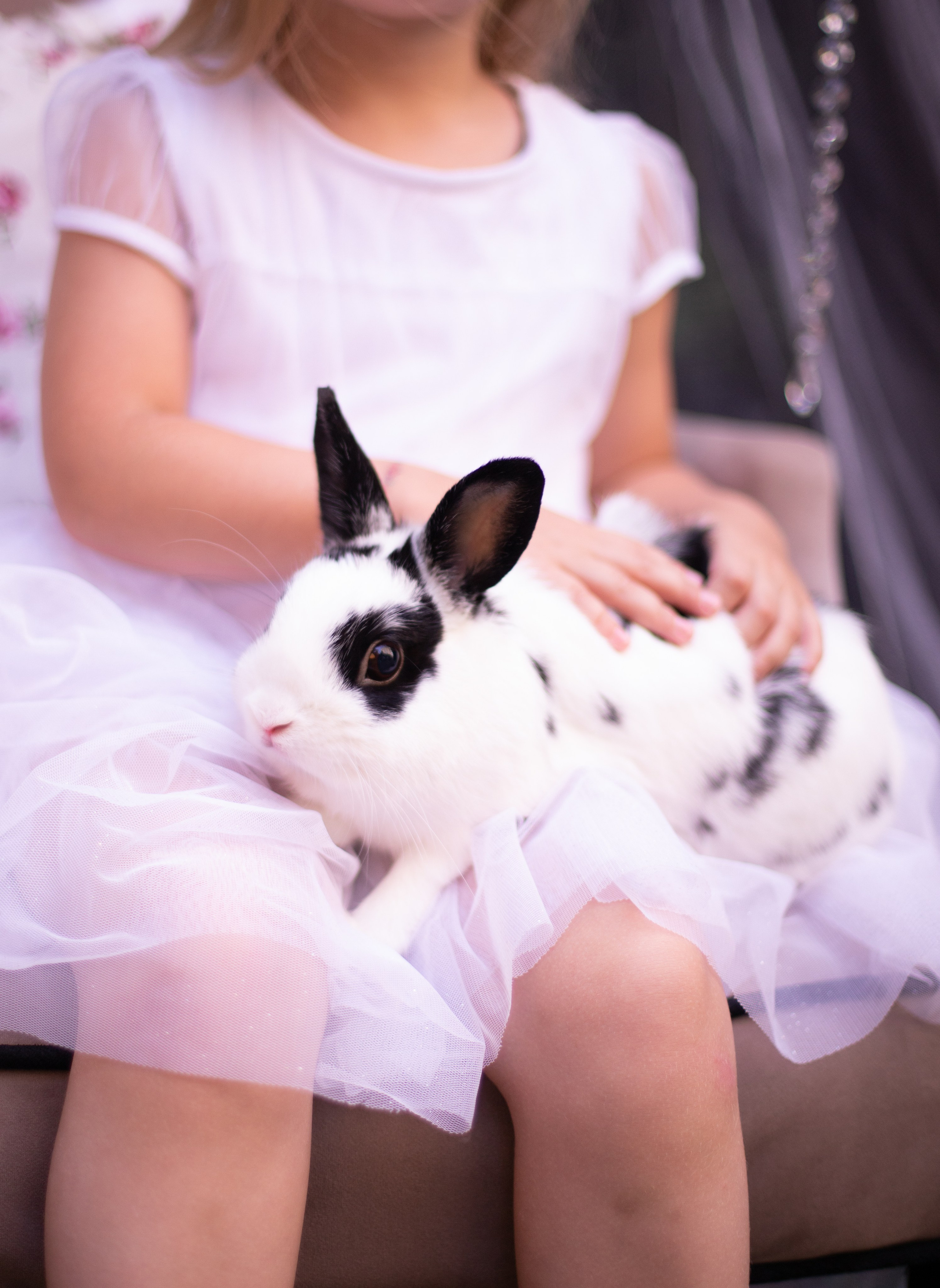 Алиса в стране чудес. Лучший фотограф Краснодара (по версии моей мамы)