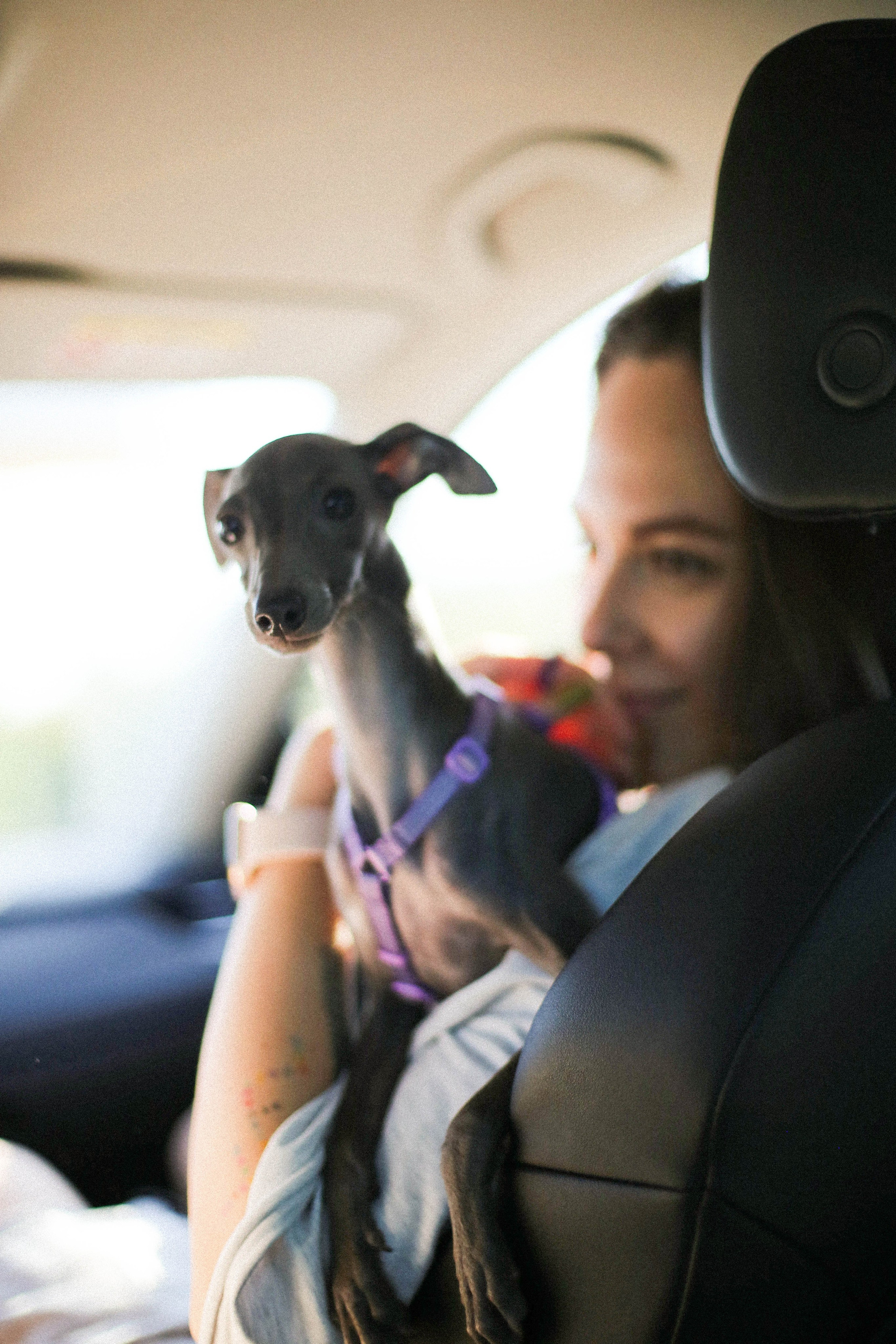 Таня, Саша, Мыша. Фотограф Екатерина Максимова: семейные, индивидуальные съемки, свадьбы