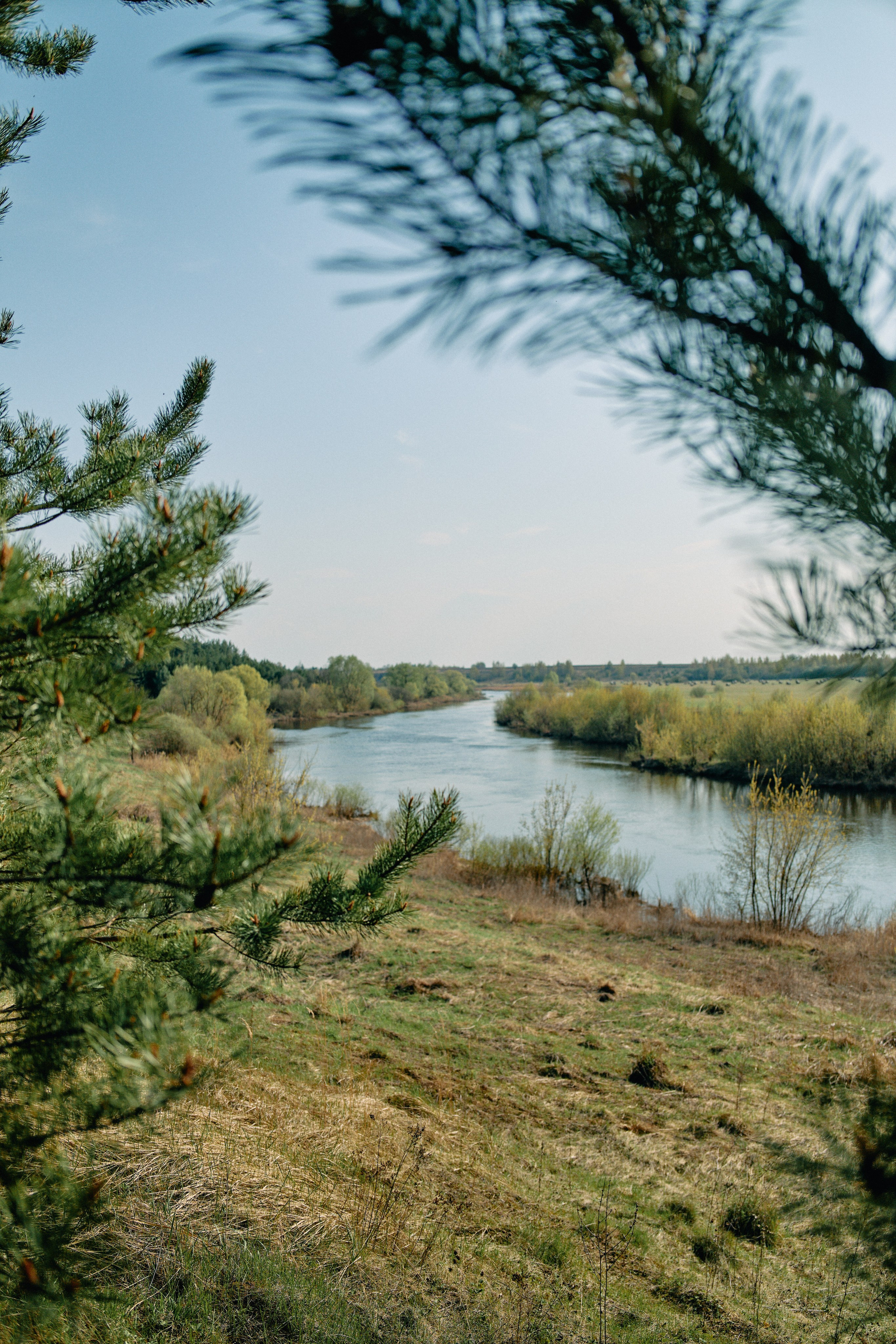 Бутик-отель Поле летом. Профессиональный Фотограф во Владимире, в Москве и в Суздале — Полина Романычева