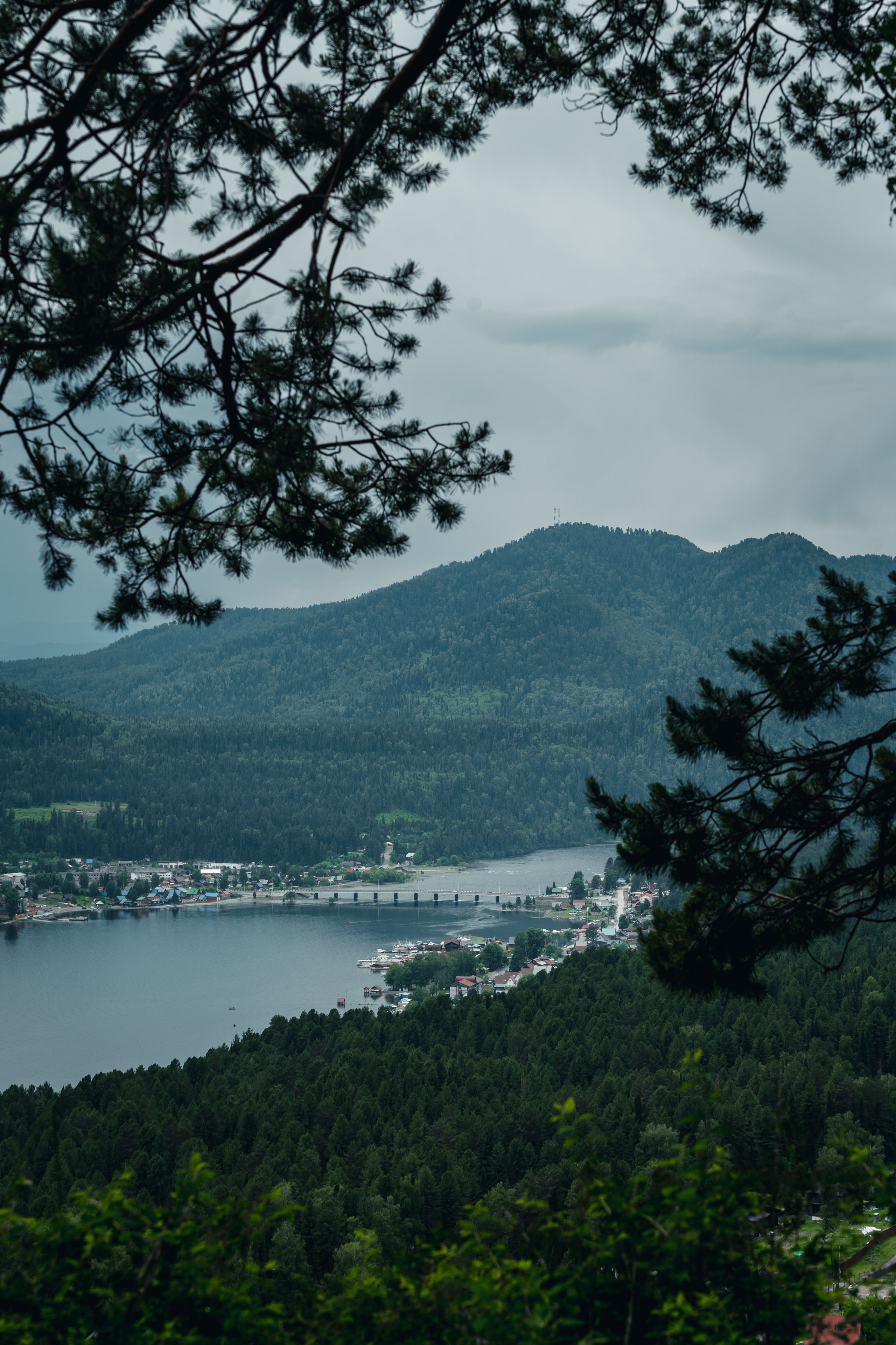 Алтай. Оператор и Фотограф в Санкт-Петербурге и Москве