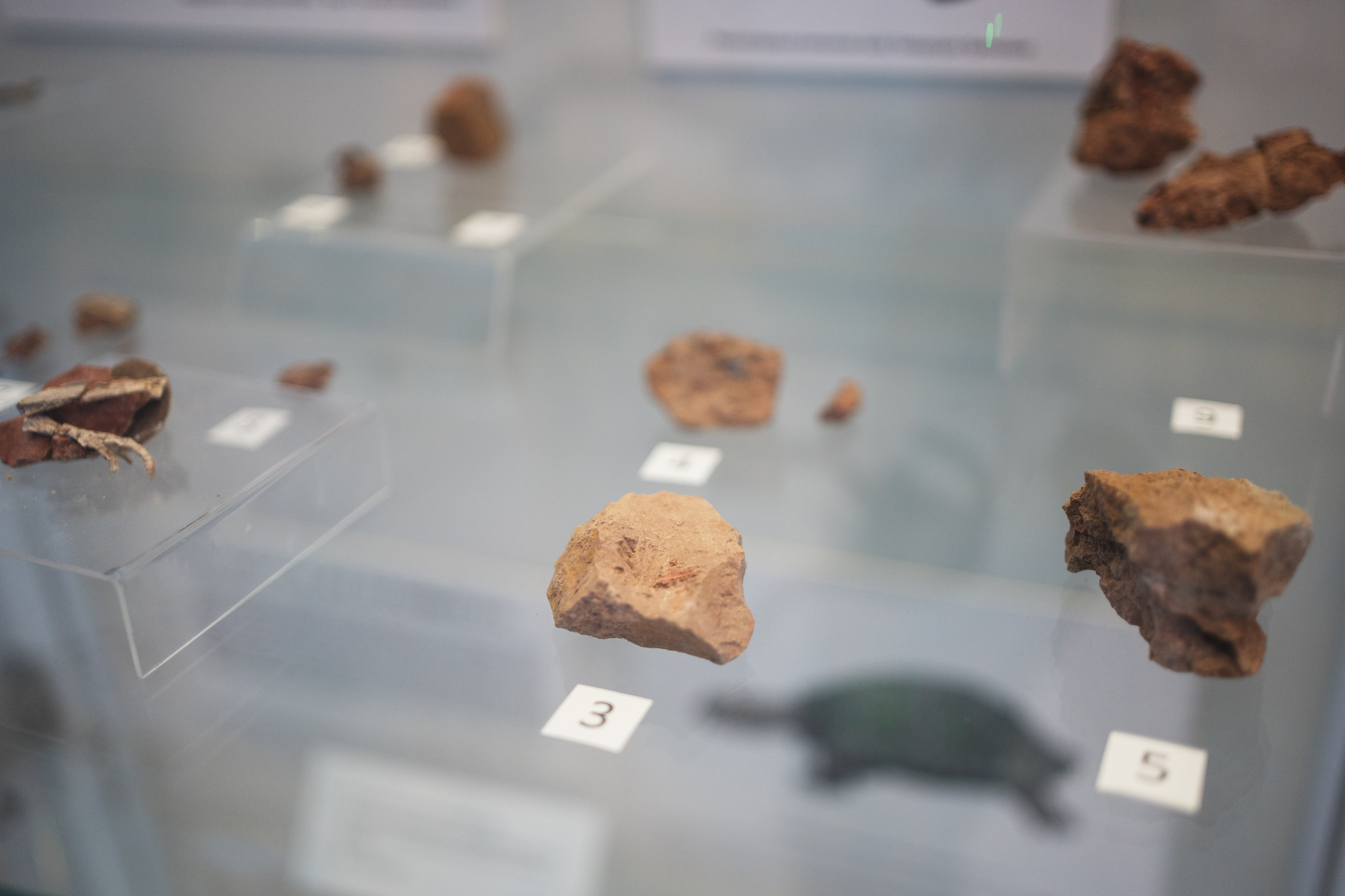 Ночь музеев 2024. Фотограф на любое событие в Кемерово