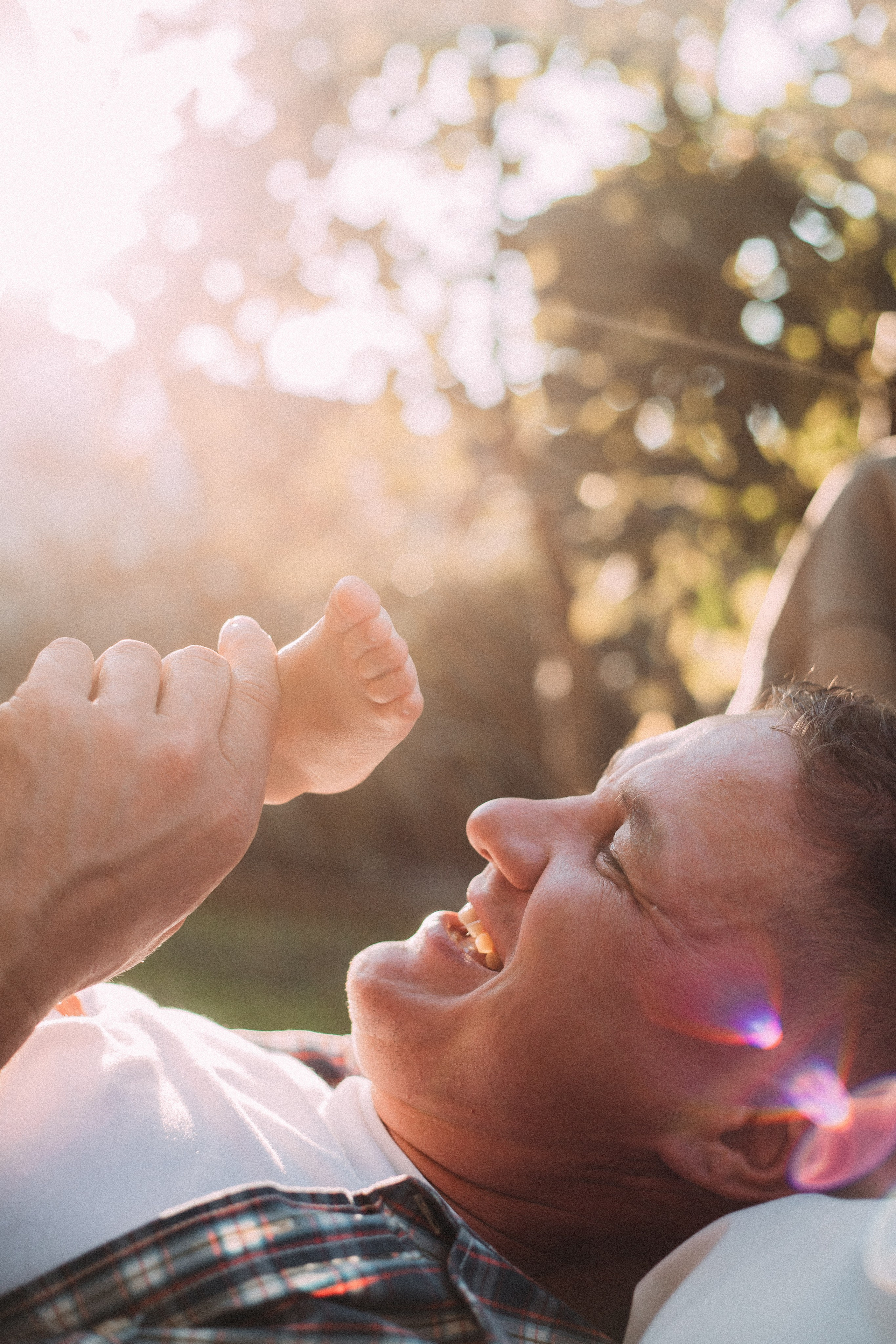 Дача. Главная