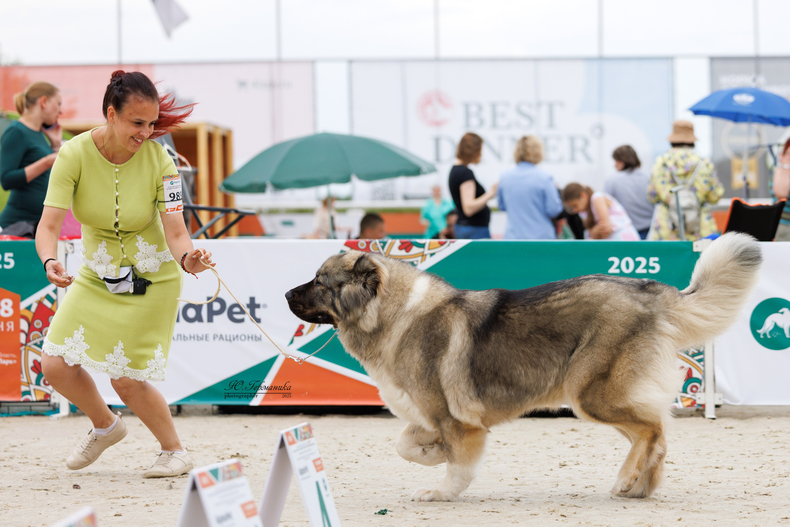РОССИЯ 7-8.06.2025. Фотограф-анималист Юлия Германика