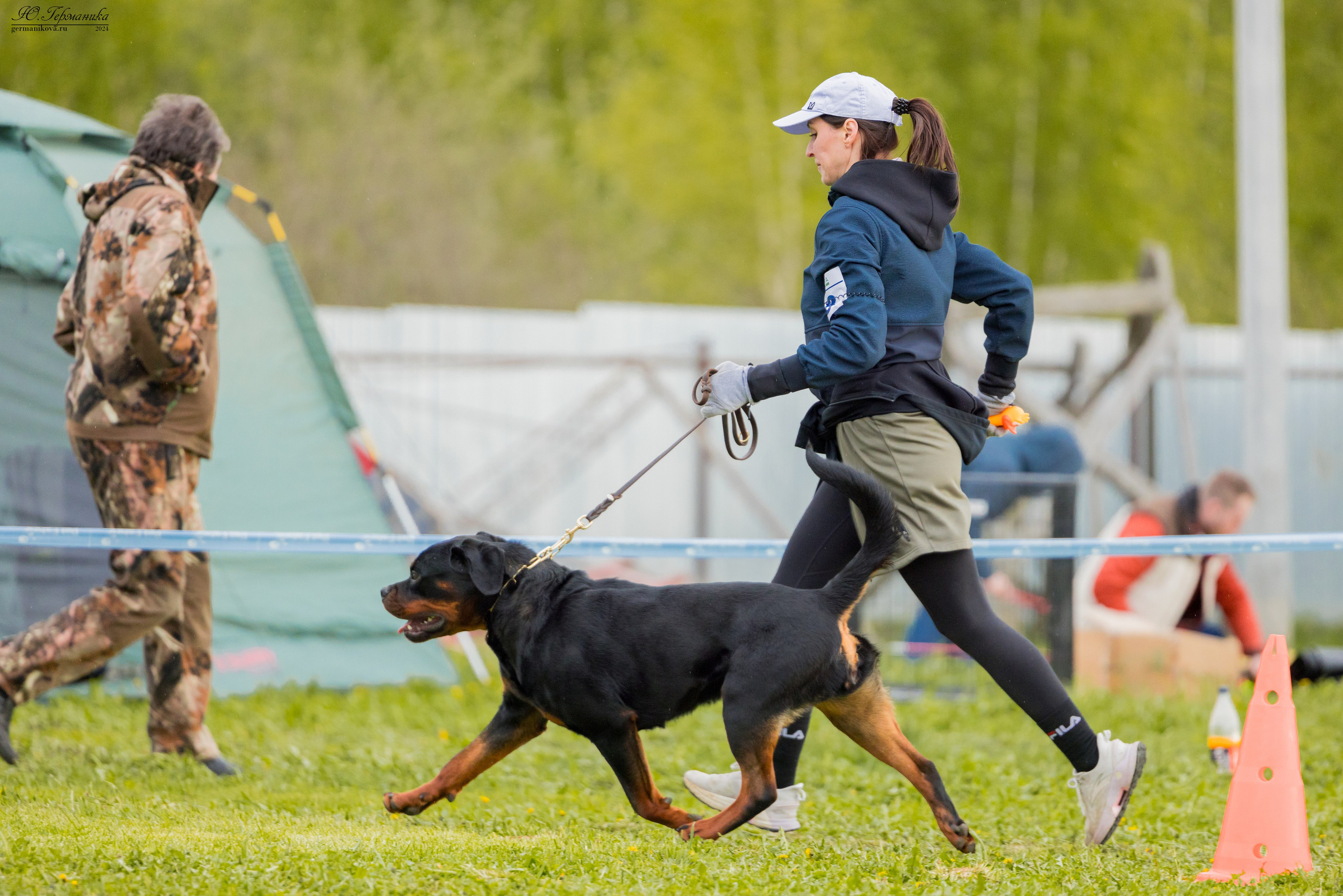 Нижний Новгород 11-12.05.2024 моно ротвейлеров. Фотограф-анималист Юлия Германика