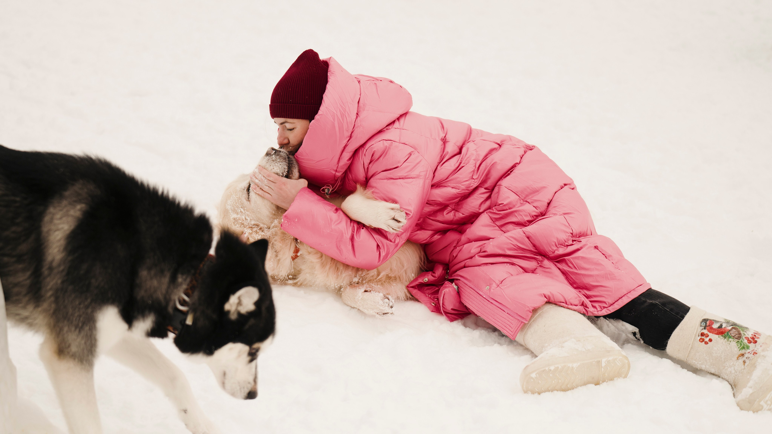 Зоогостиница Мишка. Фотограф- анималист Александра Матвеева