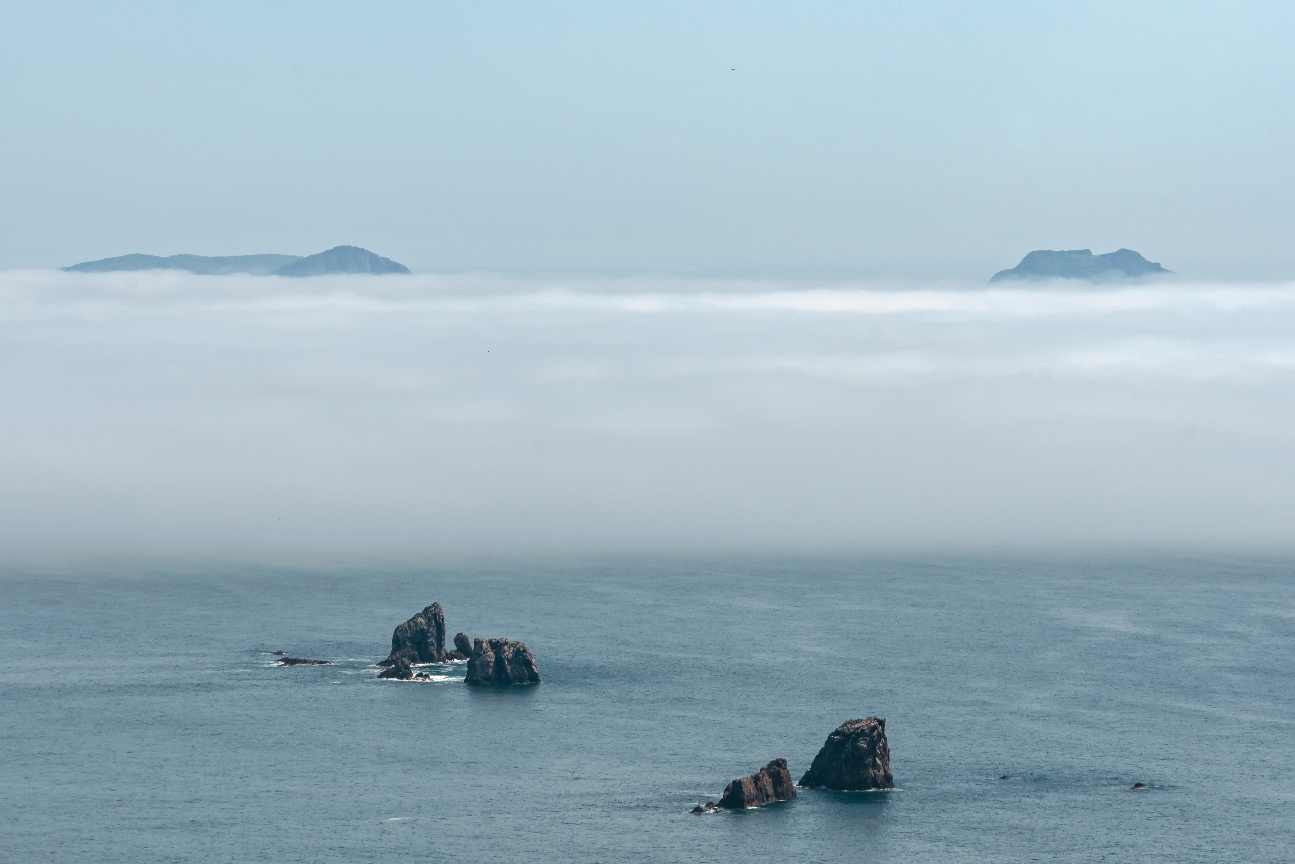 Весеннее Приморье. Май