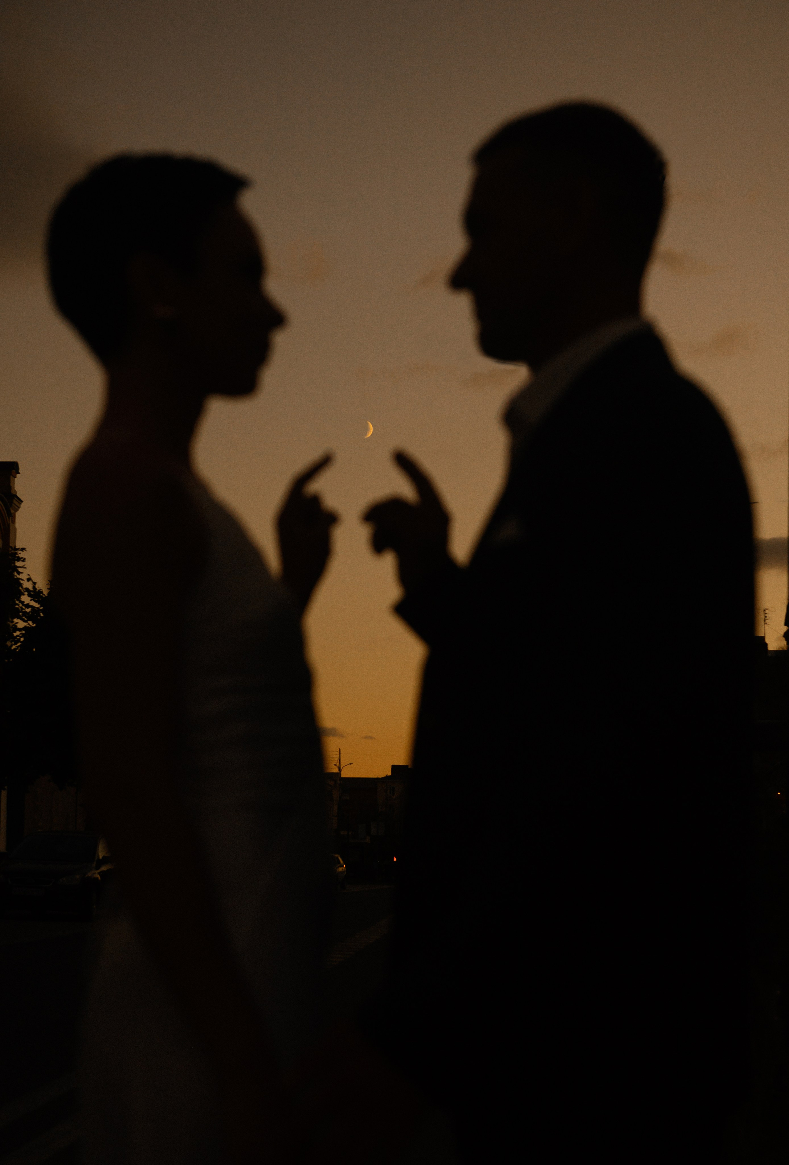 Дмитрий и Любовь