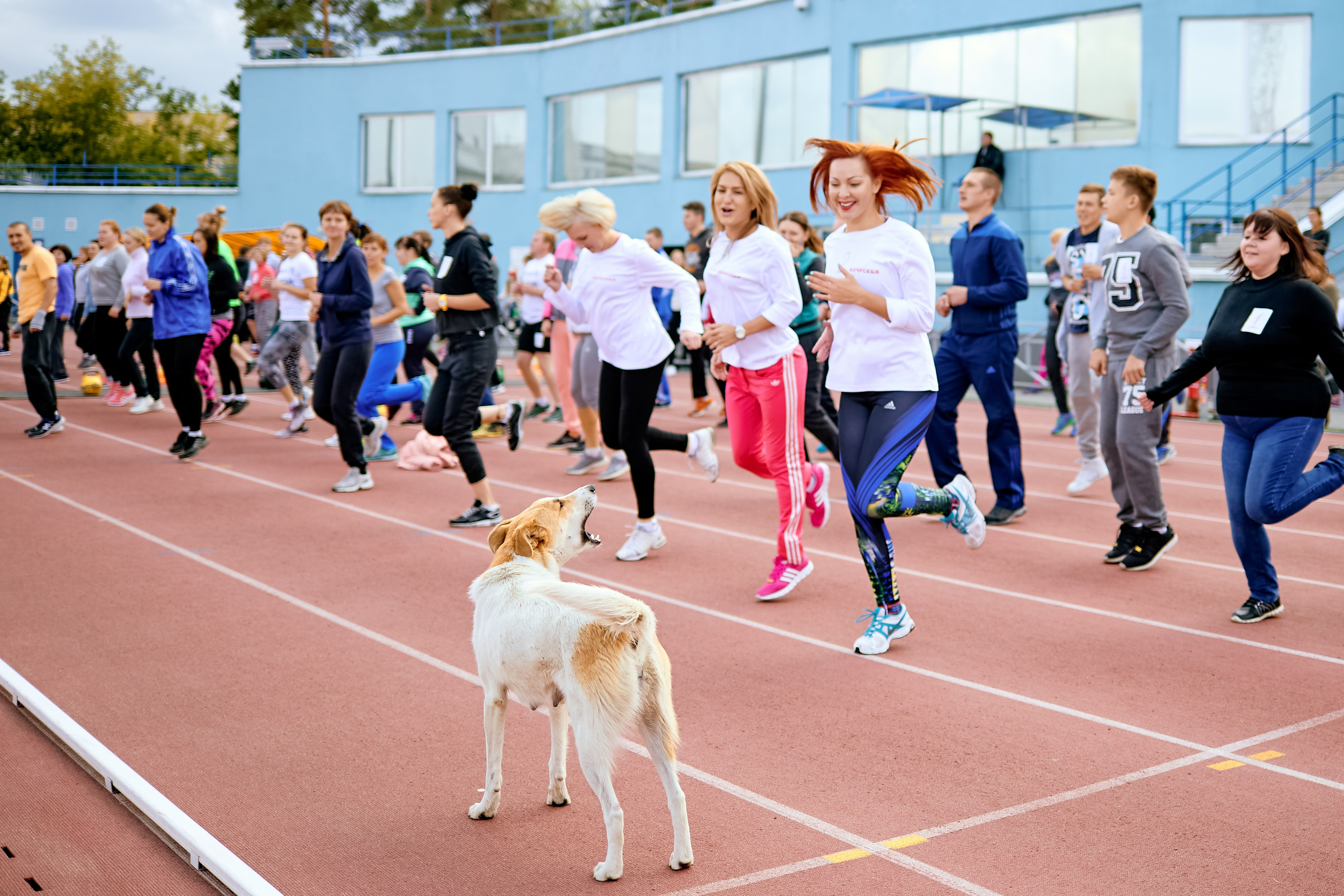 Корпоративные мероприятия. Репортажный фотограф Анастасия Ащепкова