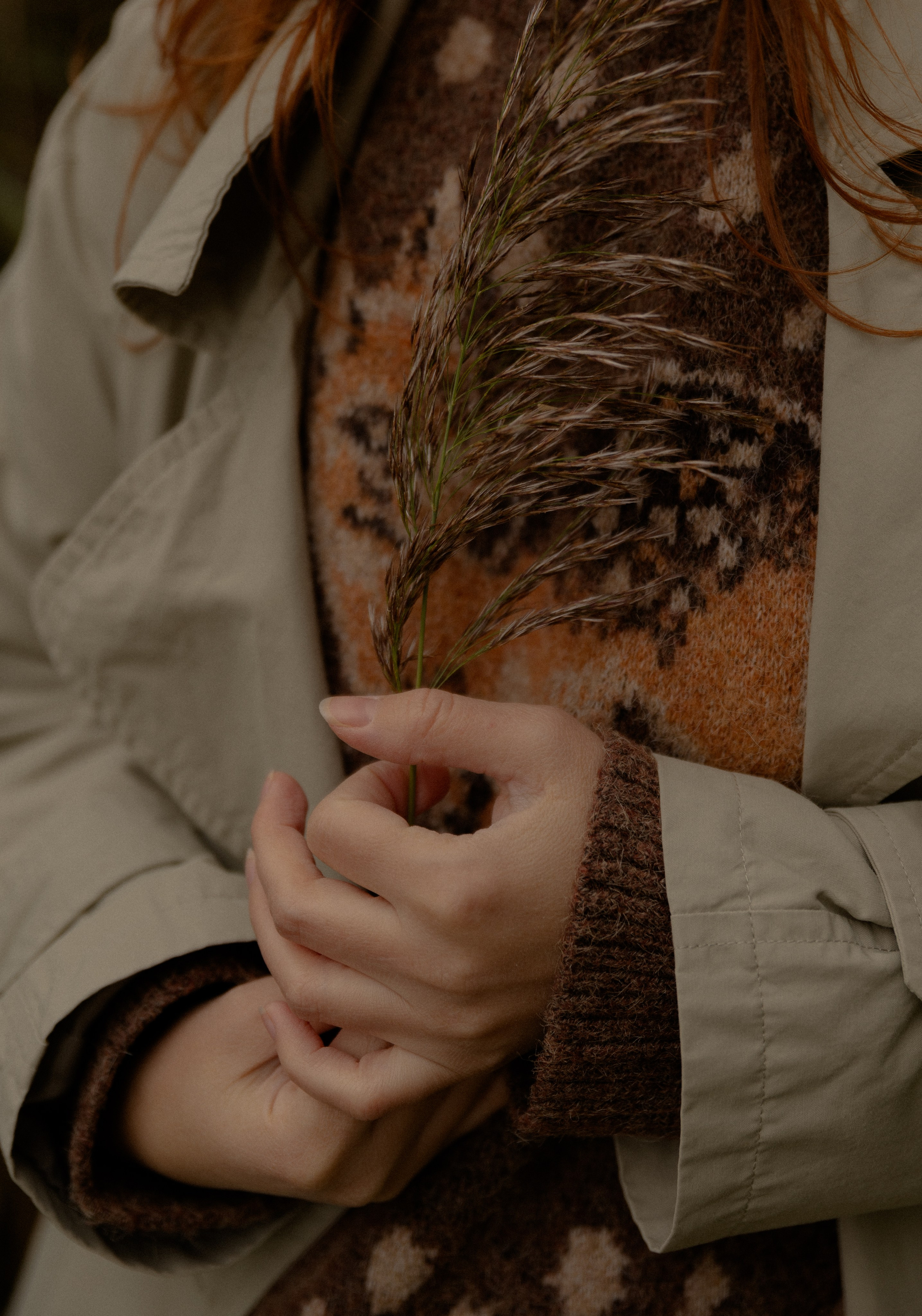 Вы прекрасные. Фотограф-проводник