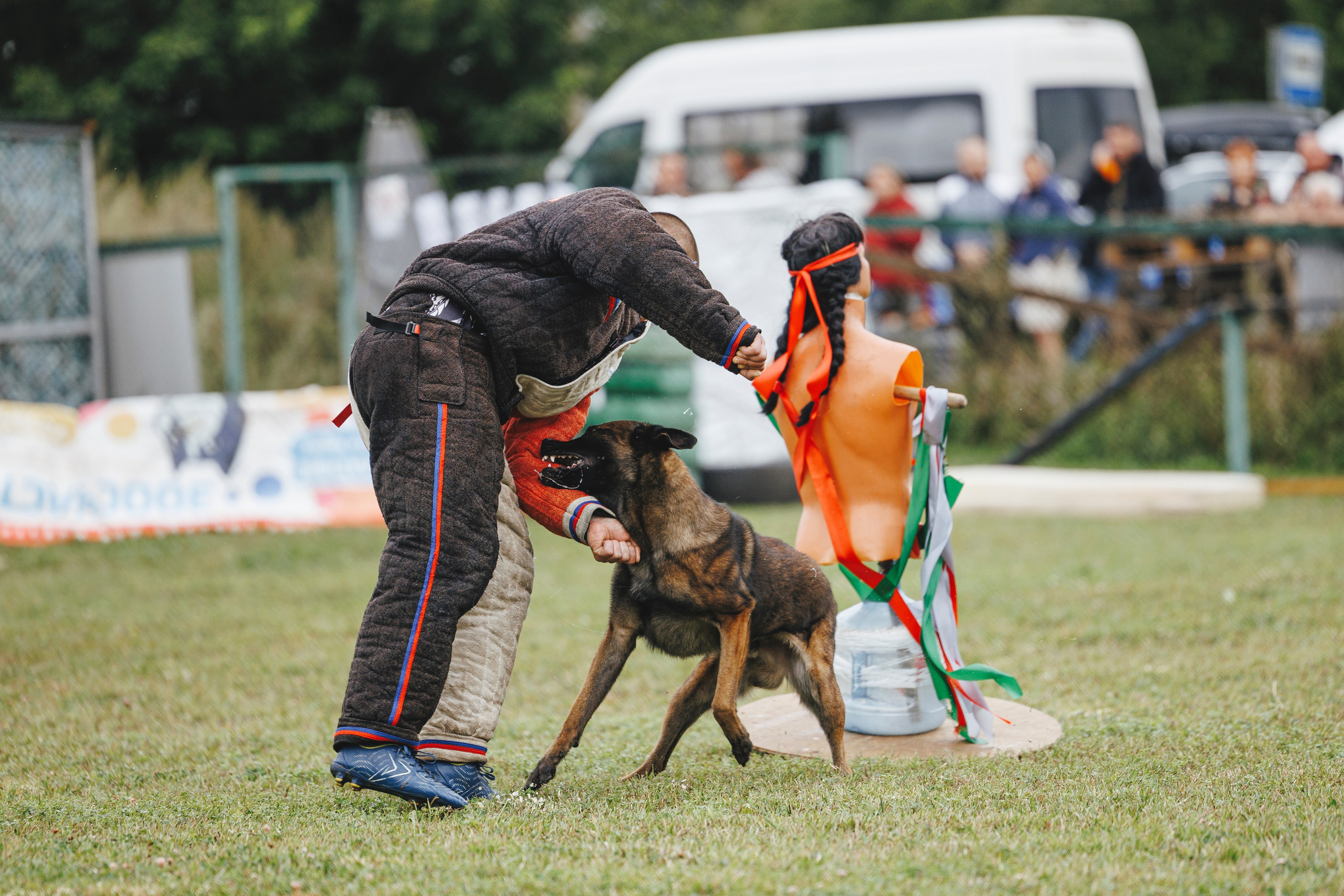 08.08.25-10.08.25 ЧР по мондьорингу г. Вологда. Фотограф-анималист Анна Маринич