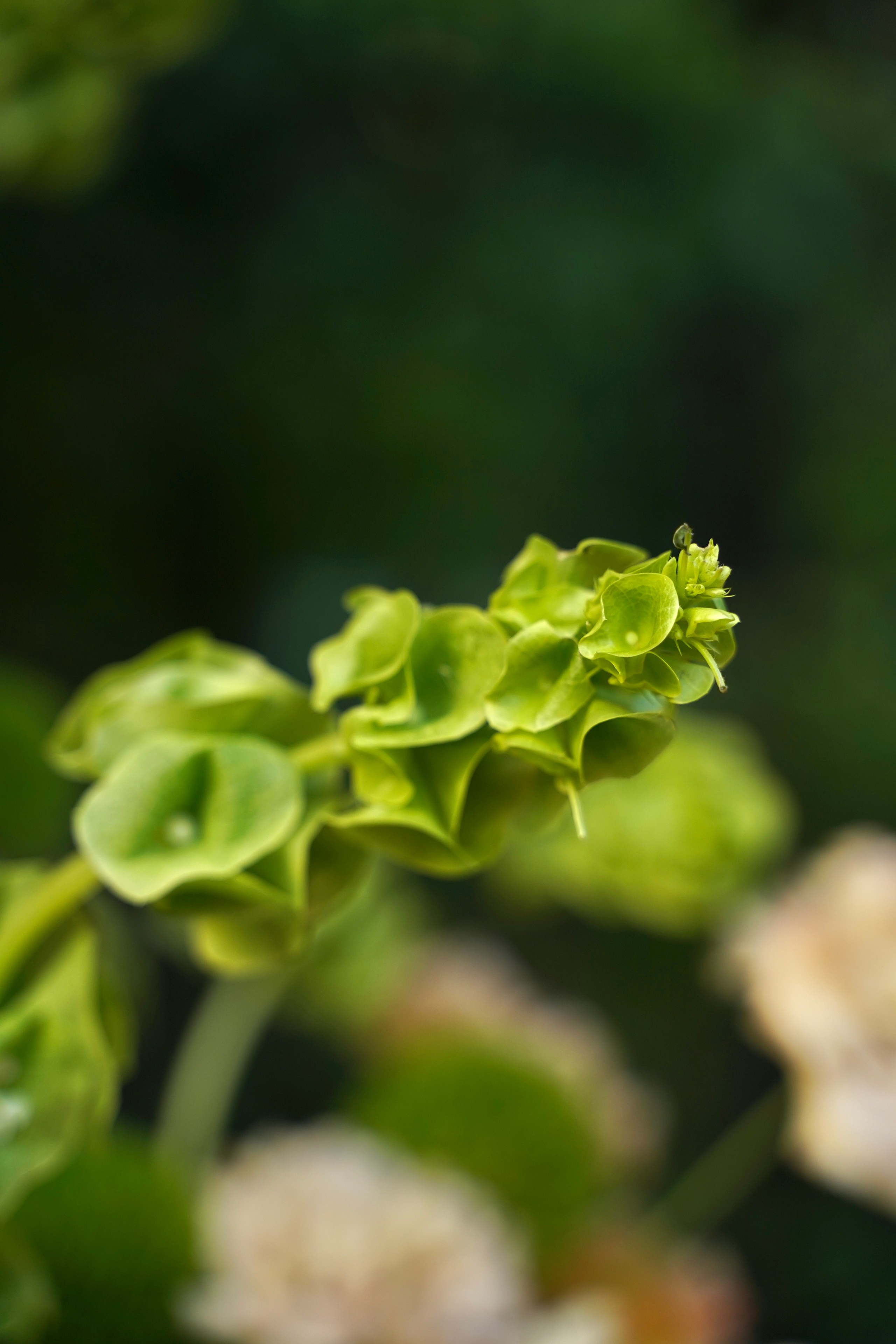 Dech.art.bureau — NRAV. Семейный и детский фотограф в Москве
