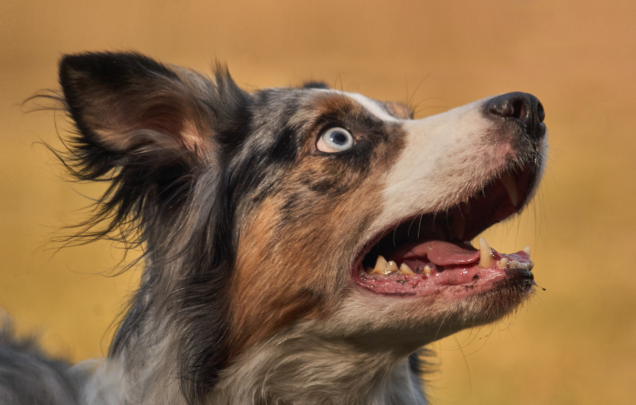 Фотограф в Самаре | Варя Борисова