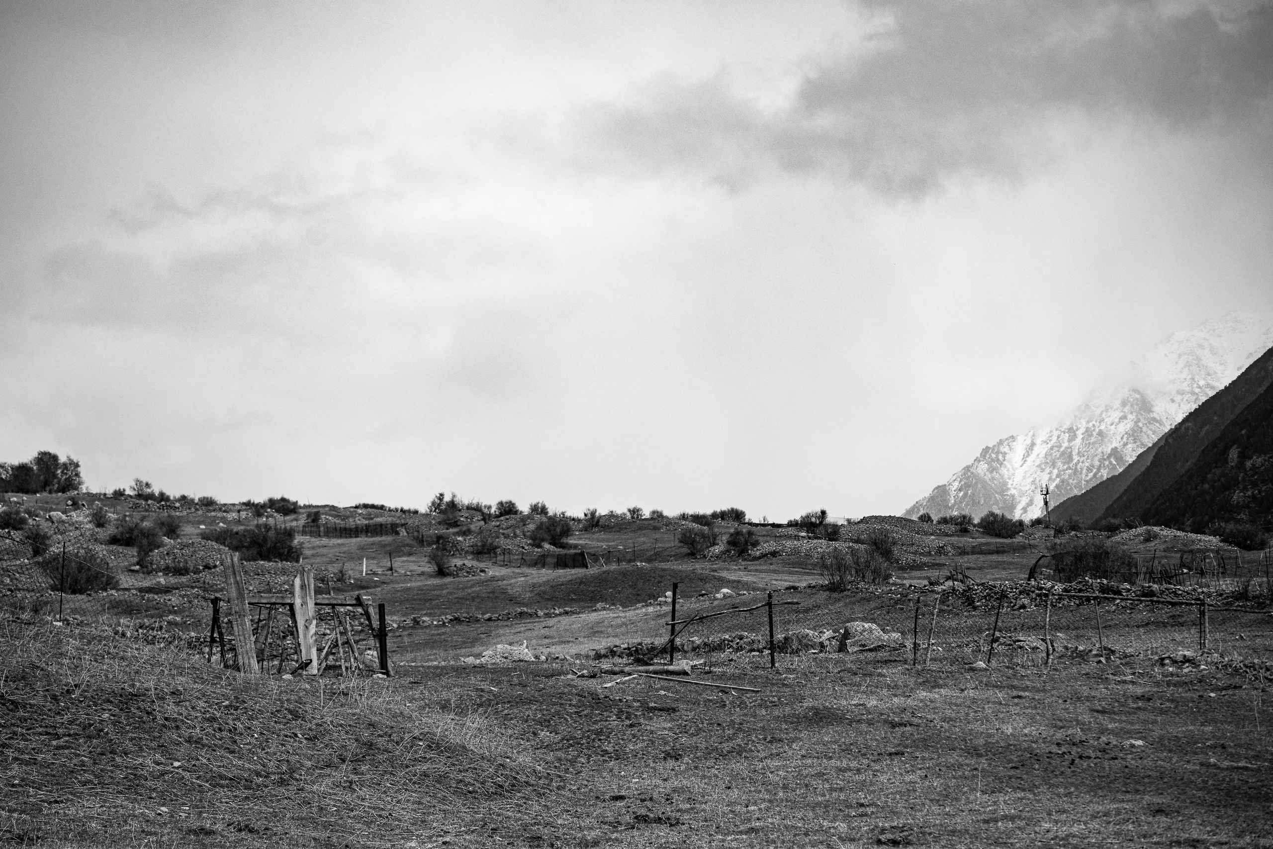 Ч.б. фотографии. Фотографии Лены Соколовой