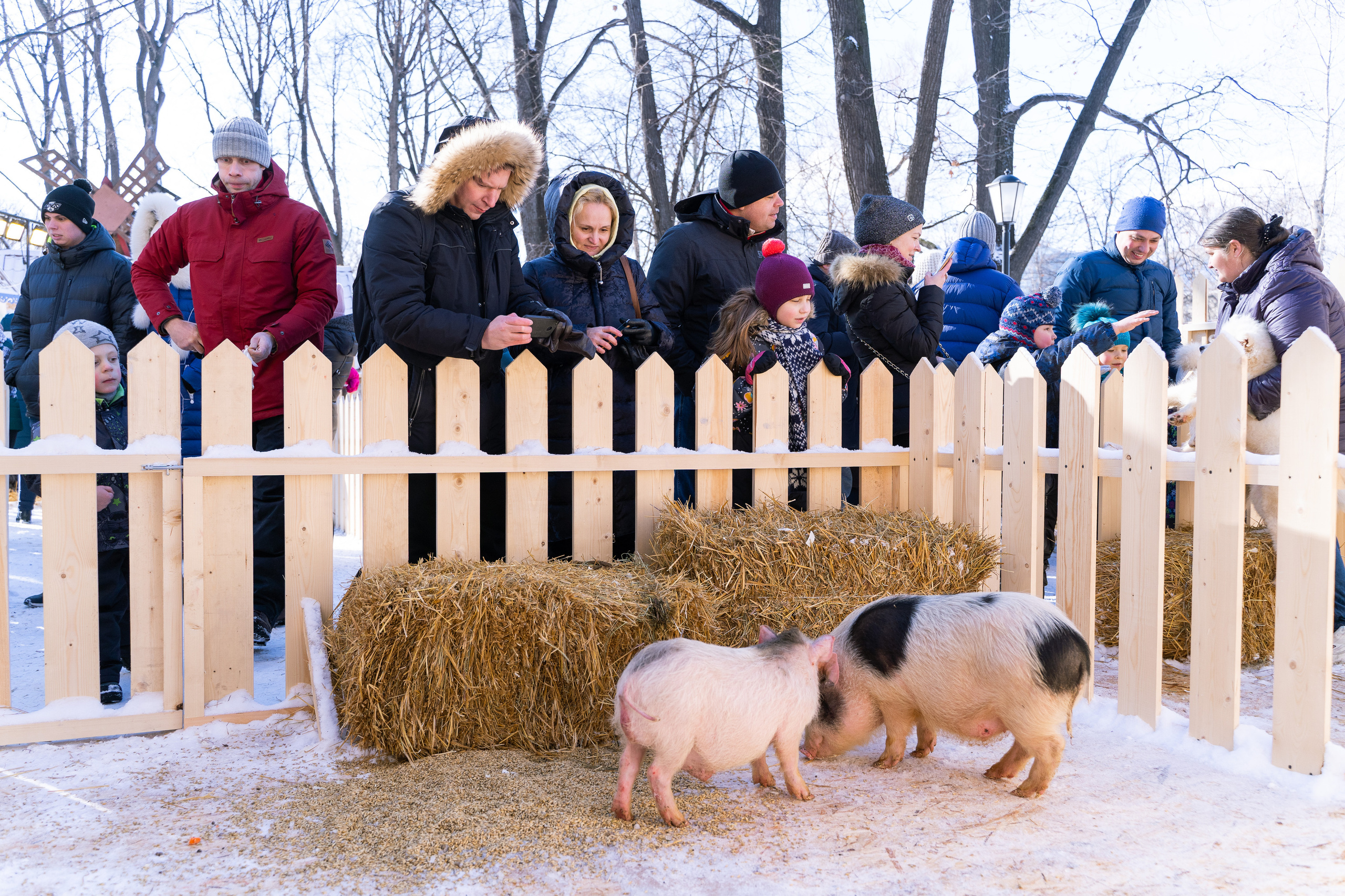 Городские праздники. Ekhovanov | фото- видеосъемка