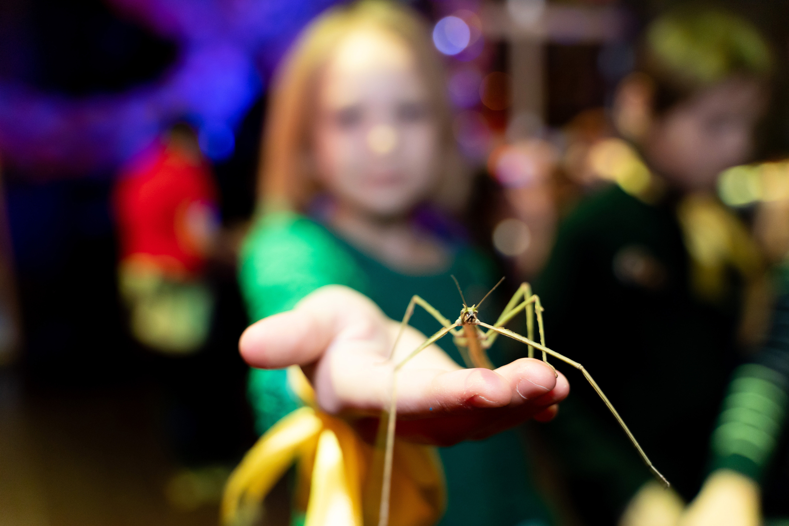 Детские праздники. Ekhovanov | фото- видеосъемка