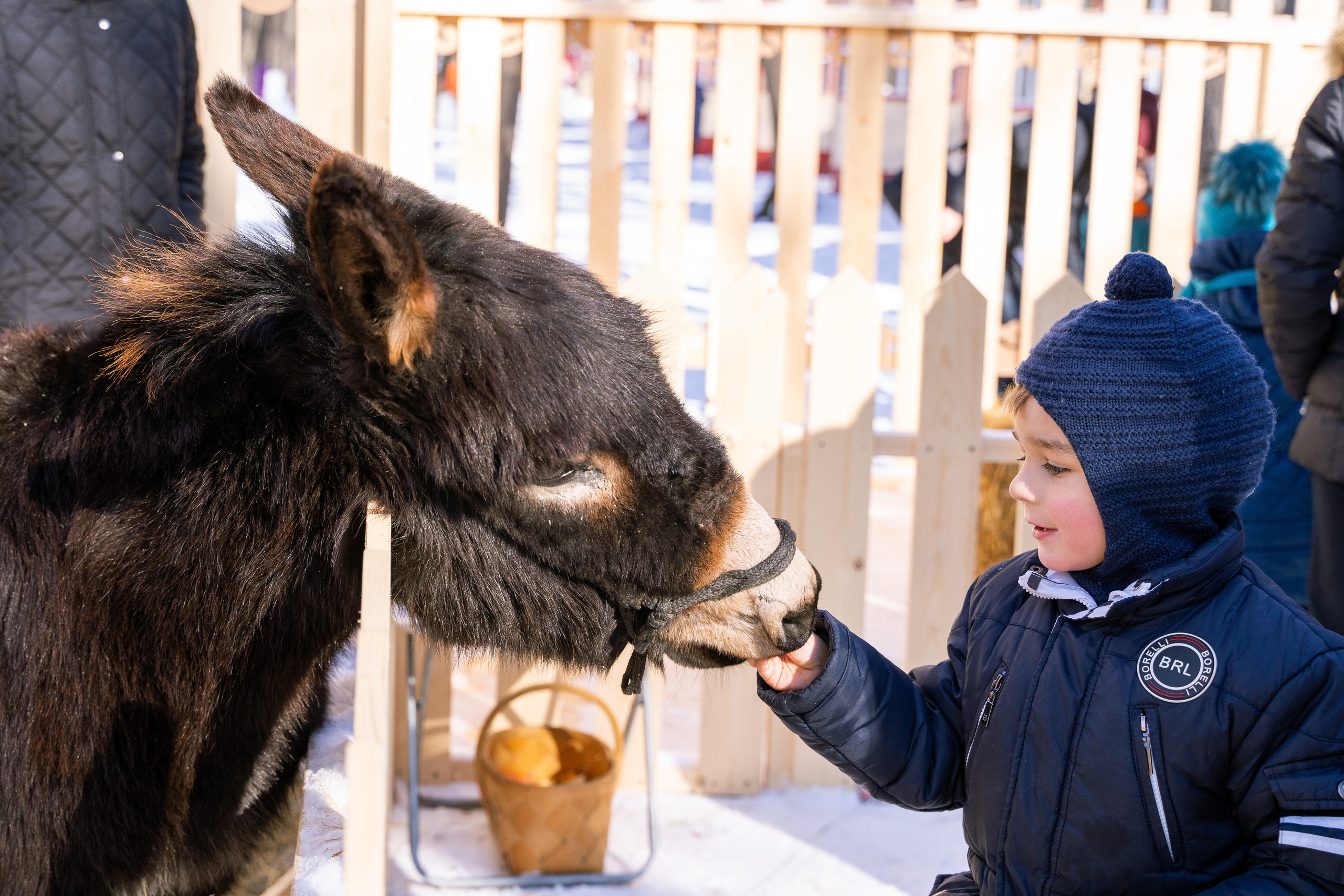 Городские праздники. Ekhovanov | фото- видеосъемка