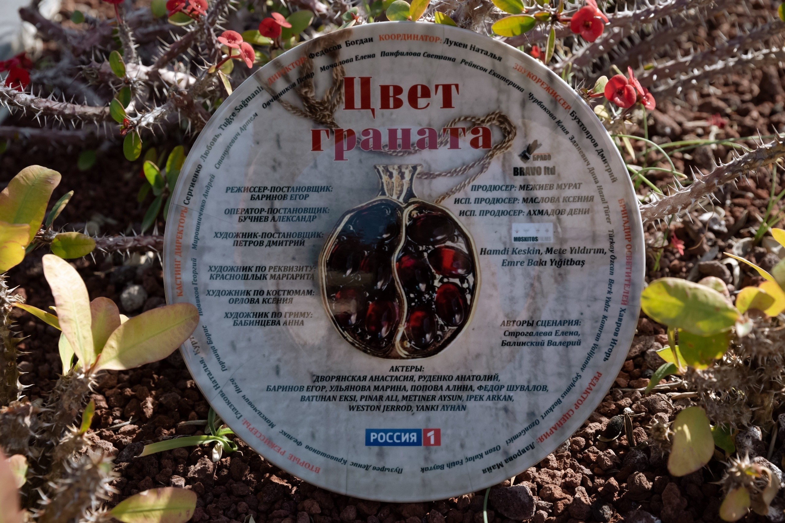 Работа в команде. Екатерина Рейнсон