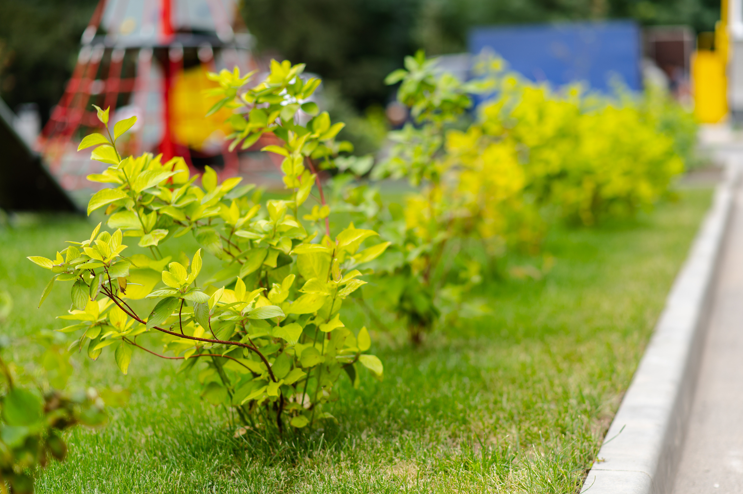 Фотосъемка недвижимости и жилых комплексов