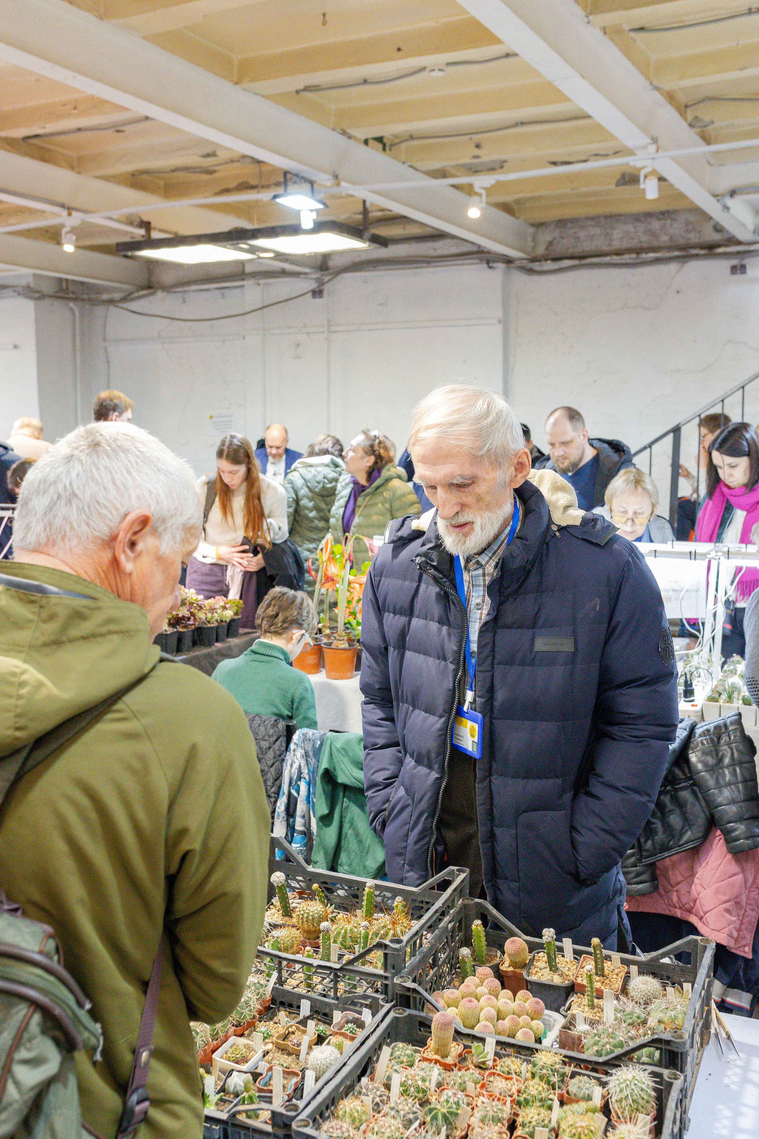 Кактус Фест. Александра Куликова фотограф, Москва