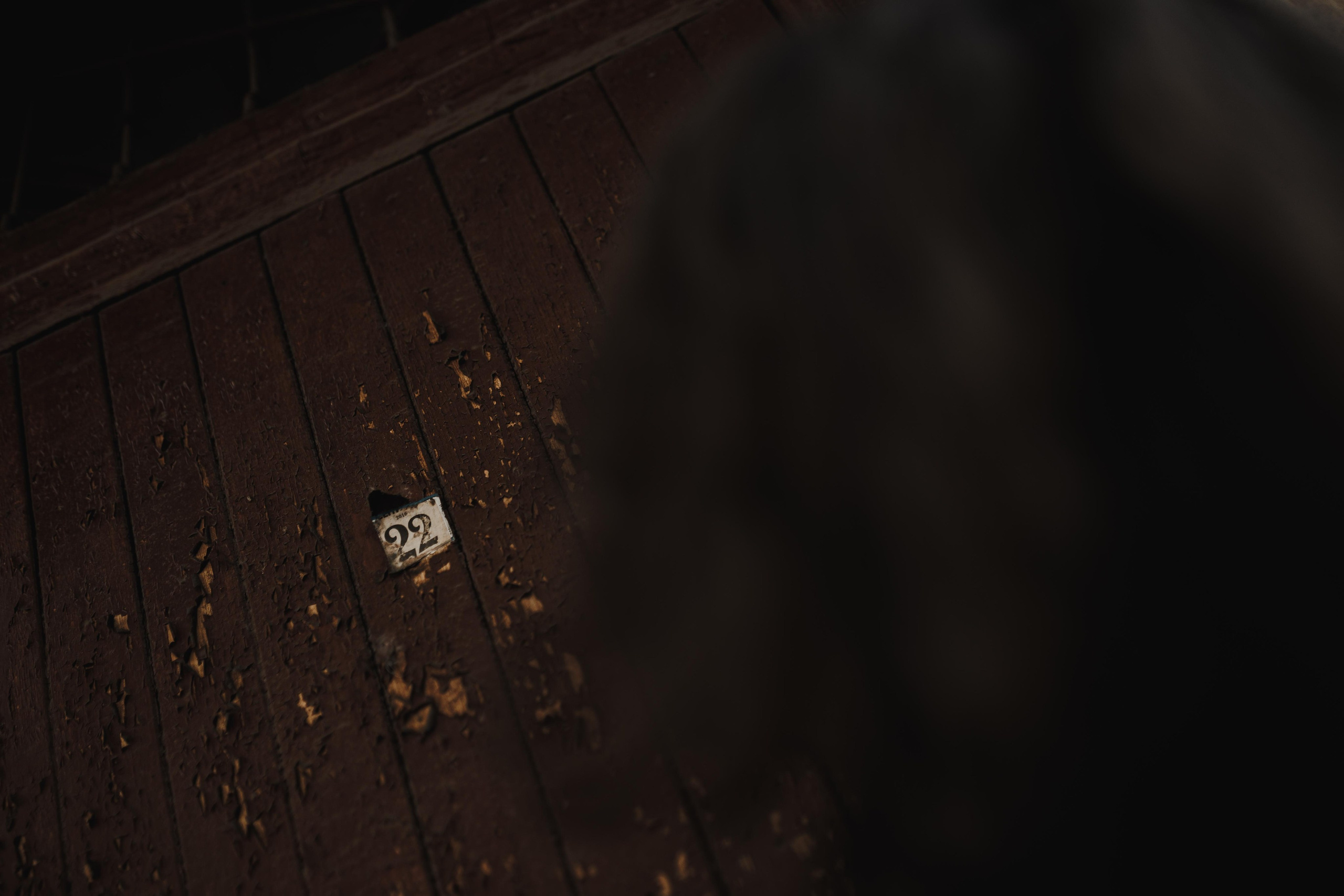 Лукиан. Фотограф в Ростове-на-Дону Ника Обида