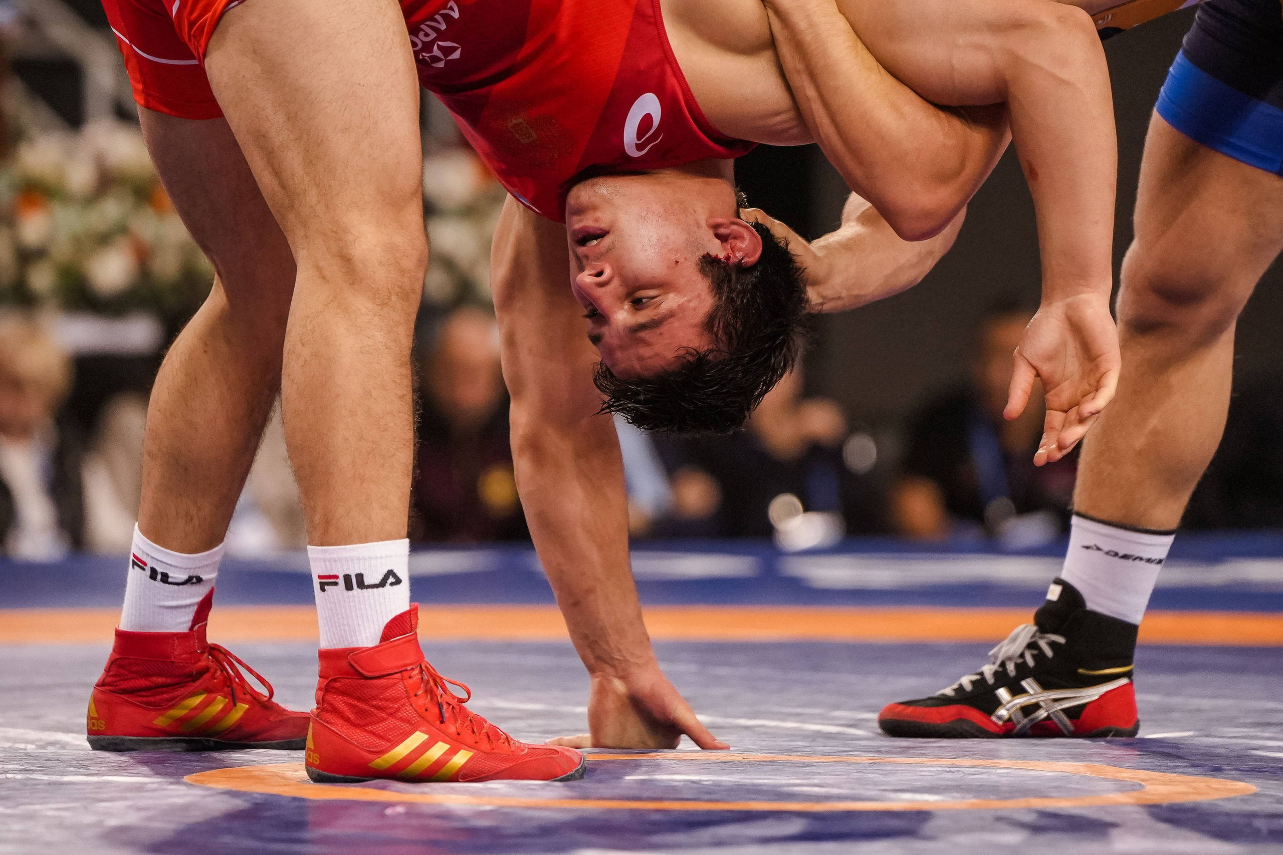 Кубок Ивана Ярыгина 2024 фото / Ivan Yarygin Cup 2024 photos. Фотограф Анна Герман. Красноярск