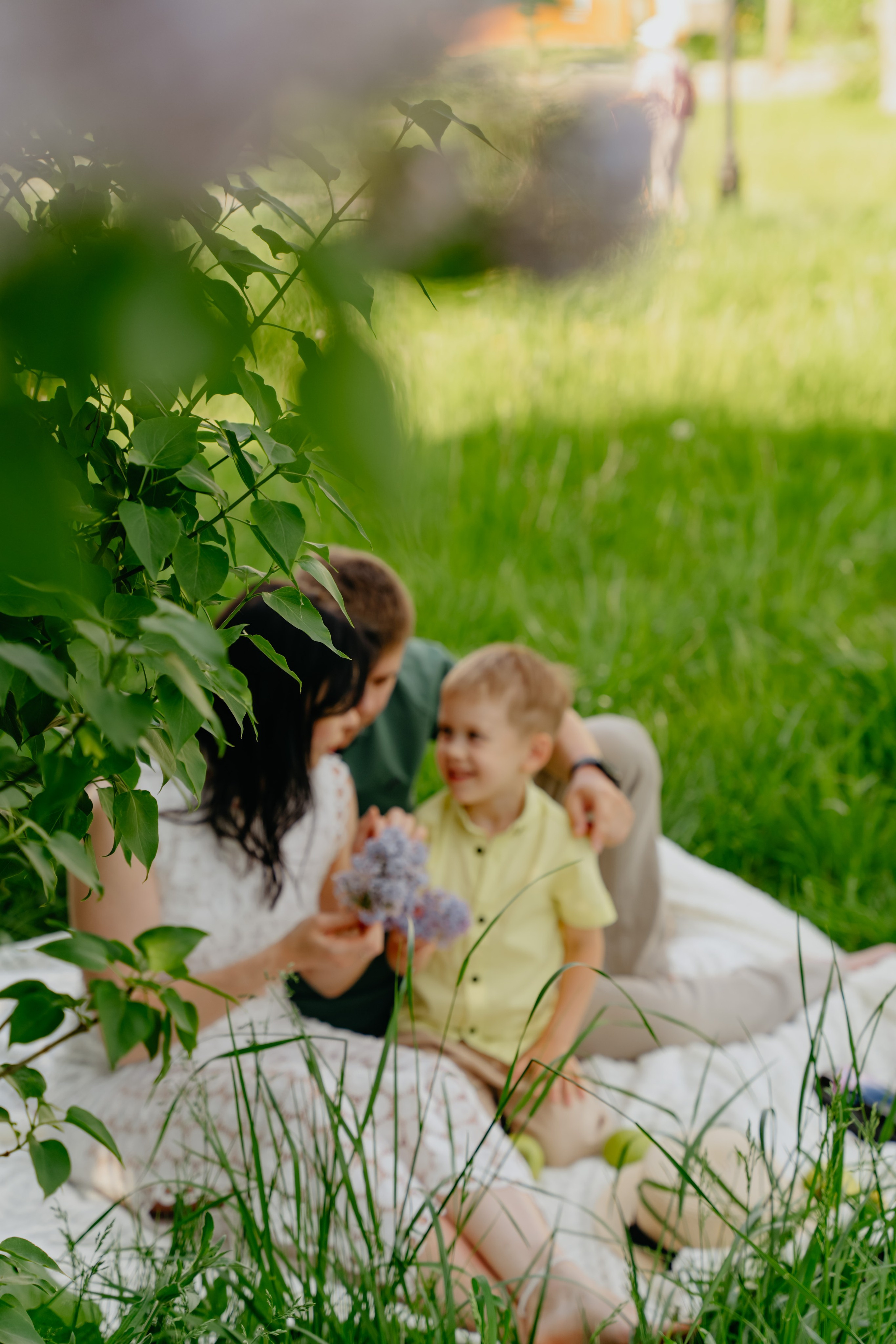 Сиреневое настроение