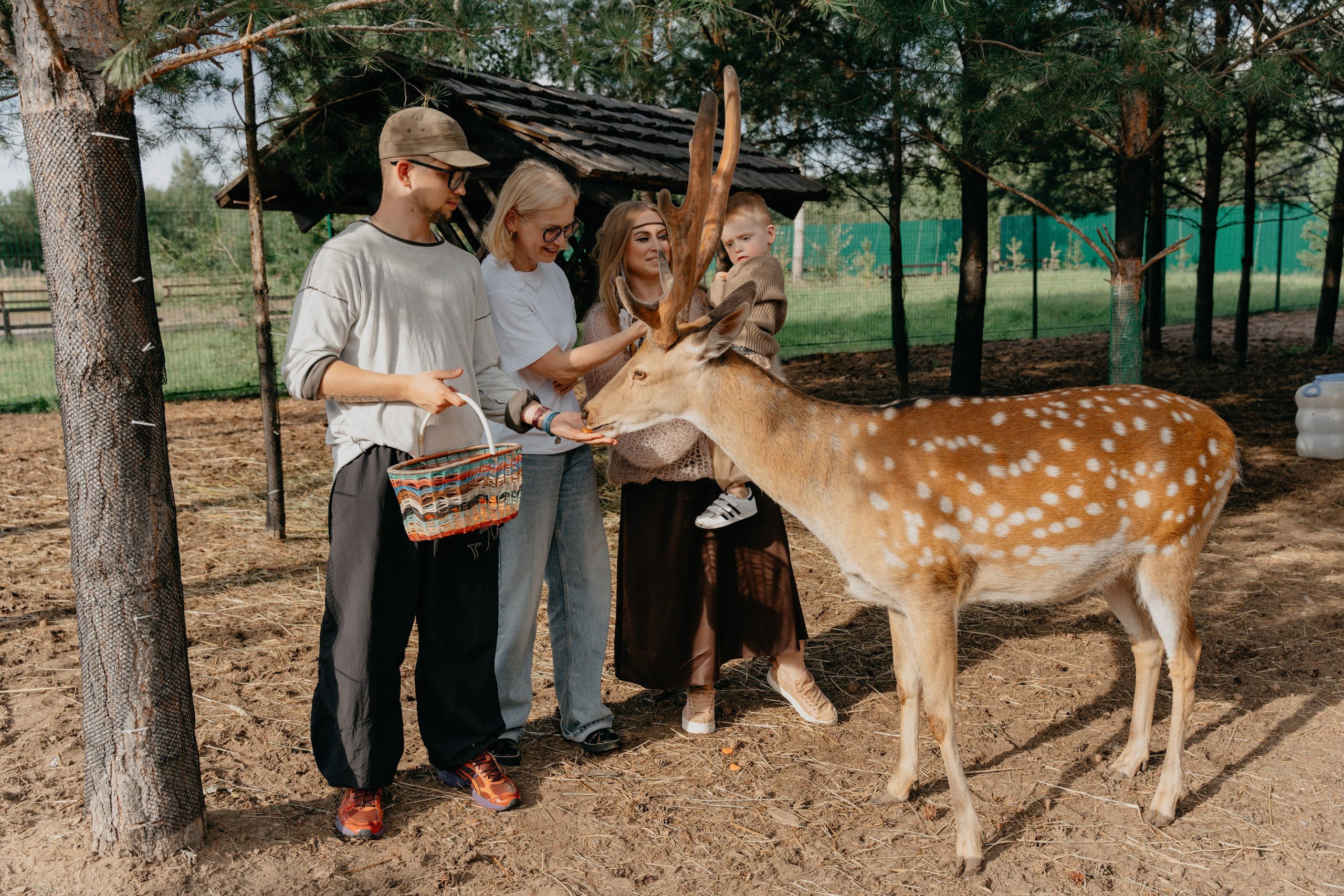 В гости к оленям