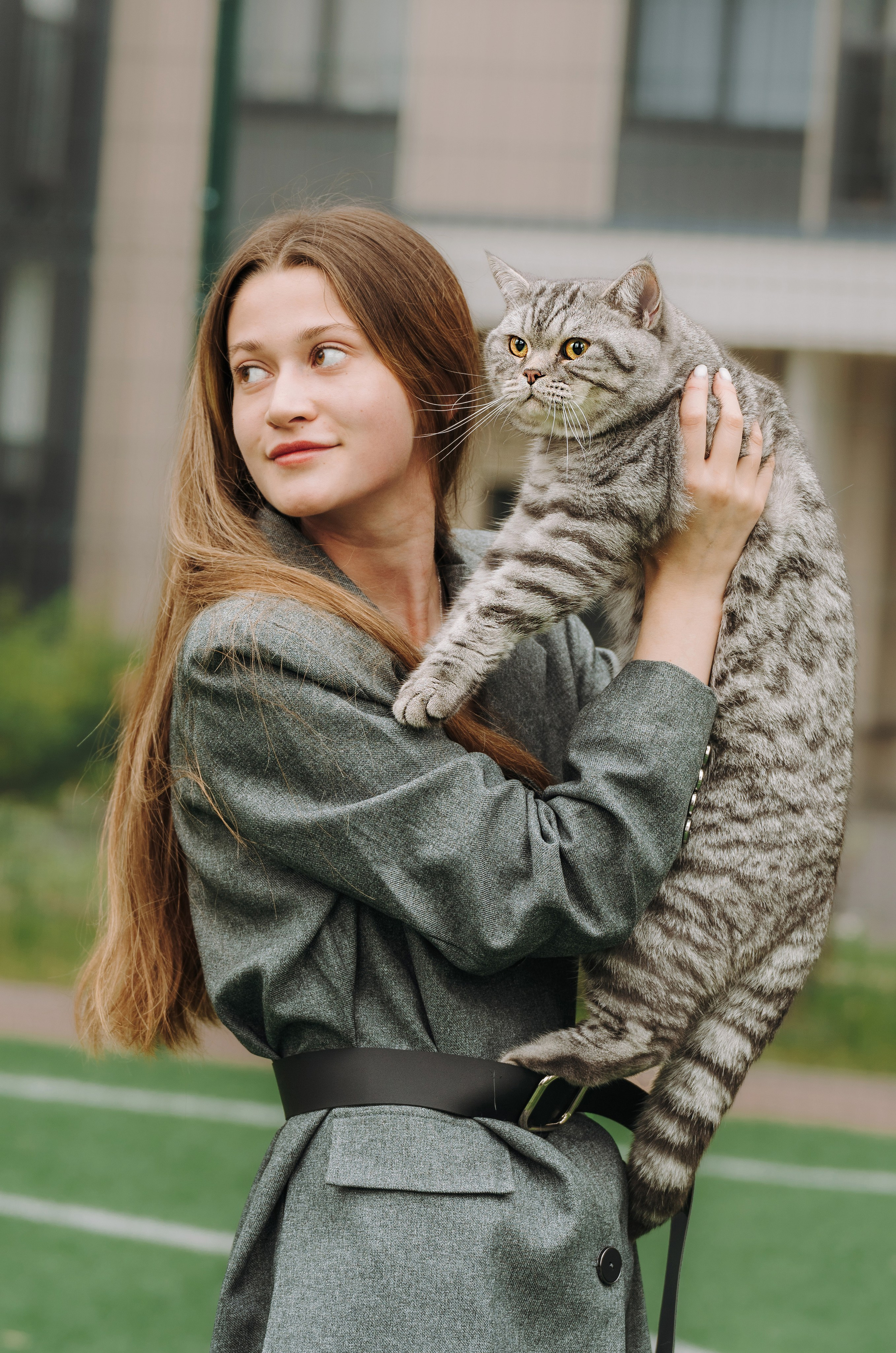 Портфолио кошки, фотограф Олеся Майрова. Фотограф анималист в Спб недорого Олеся Майорова