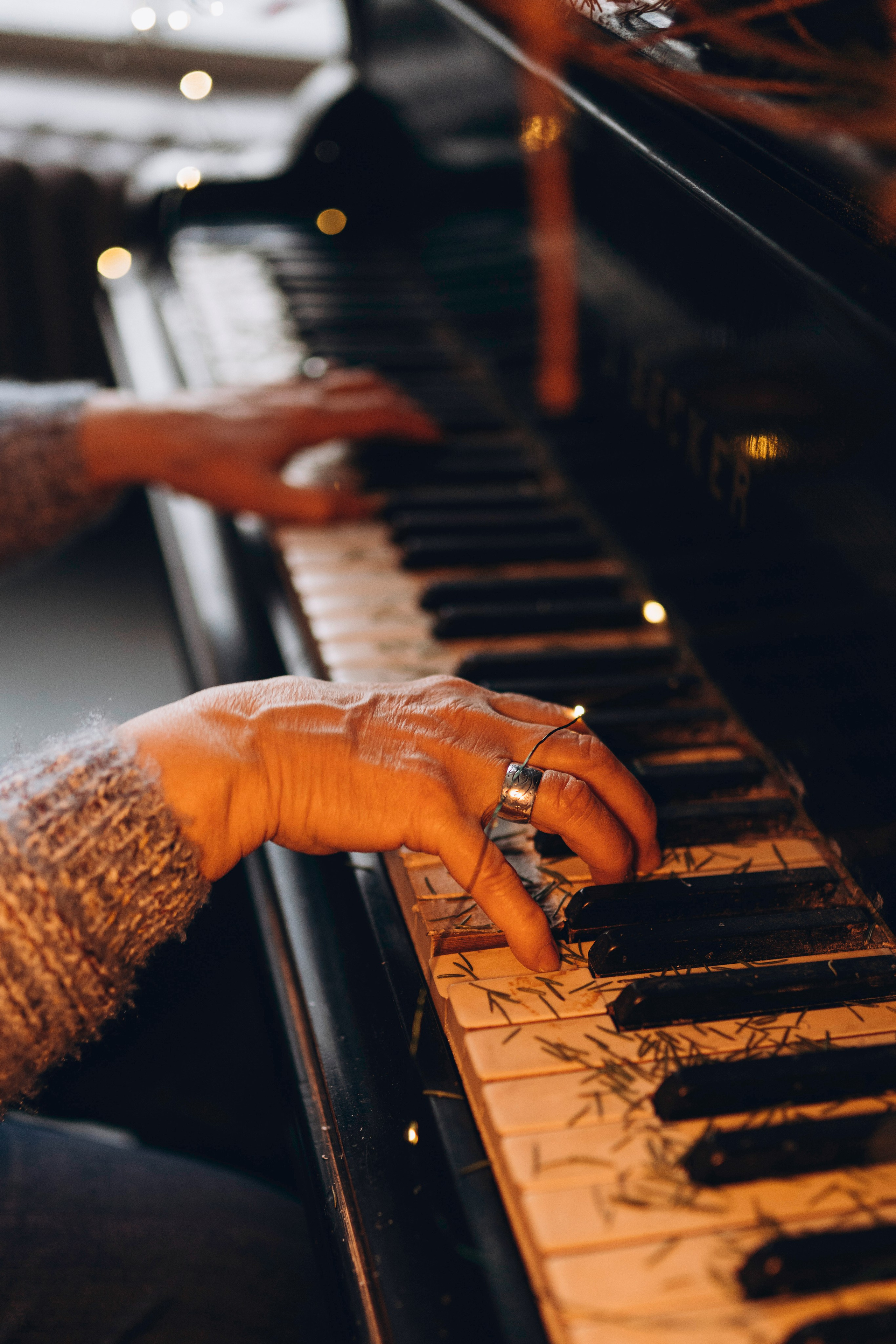 Ариша и её семья. Фотограф анималист в Спб недорого Олеся Майорова