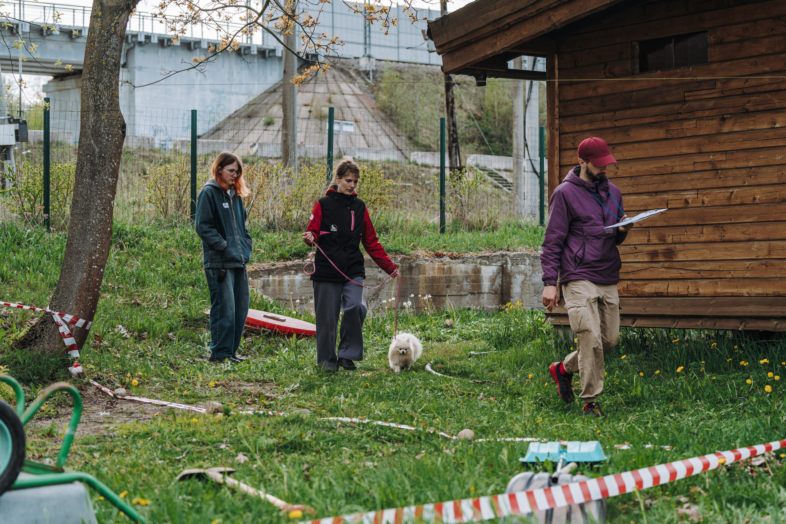 Соревнования по ноузворку в Лосево. Фотограф анималист в Спб недорого Олеся Майорова