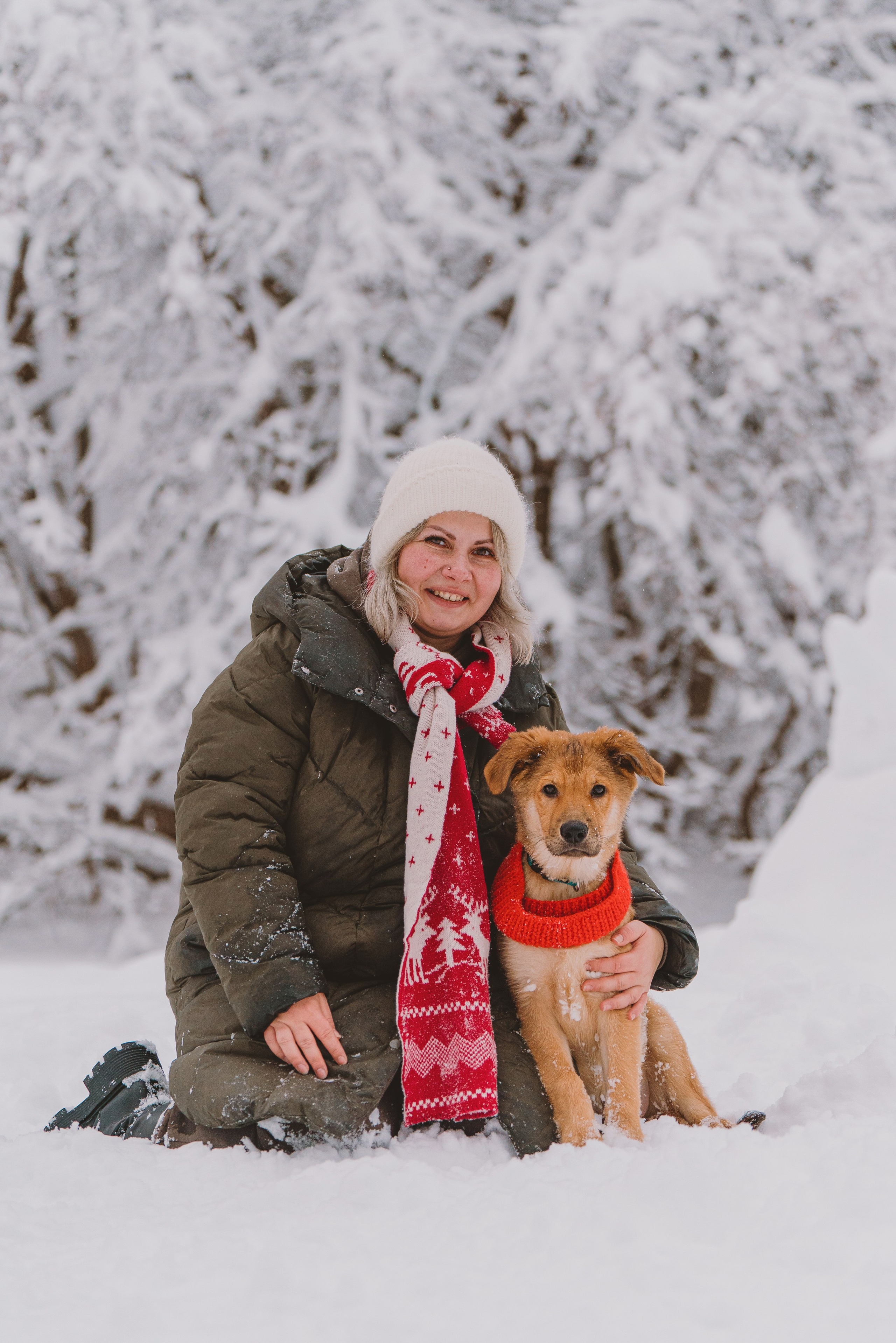 Фотосессия с питомцами на природе. Фотограф анималист в Спб недорого Олеся Майорова