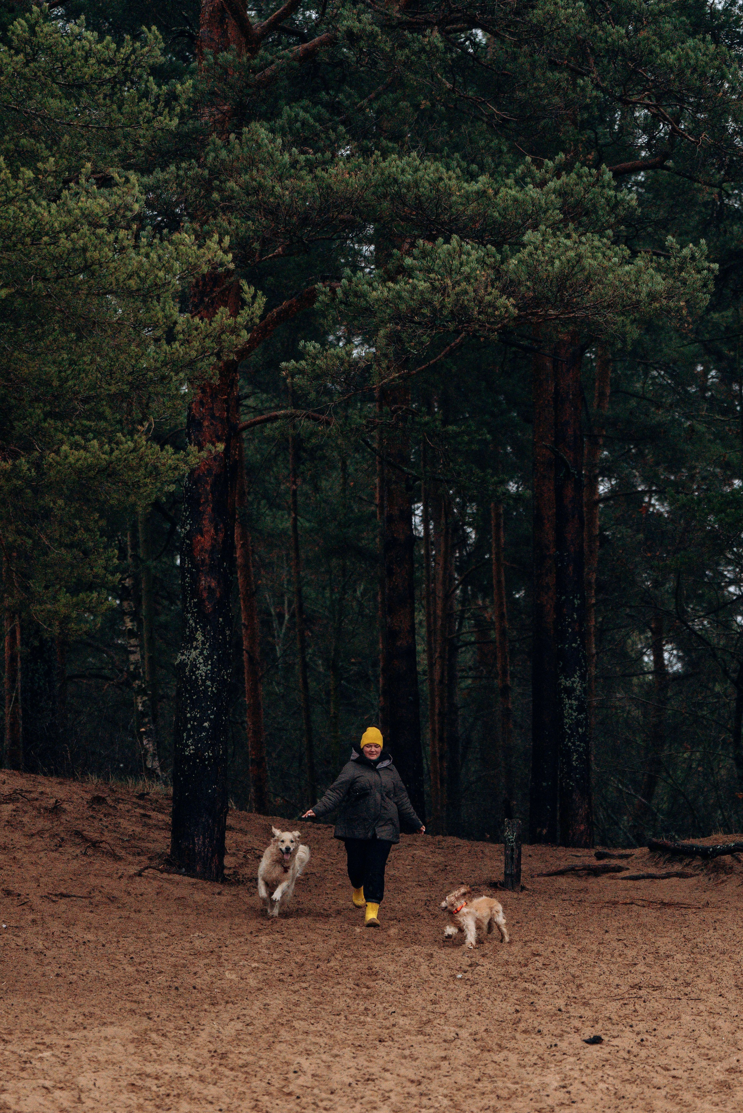 Асти, Крис и Александра. Фотограф анималист в Спб недорого Олеся Майорова