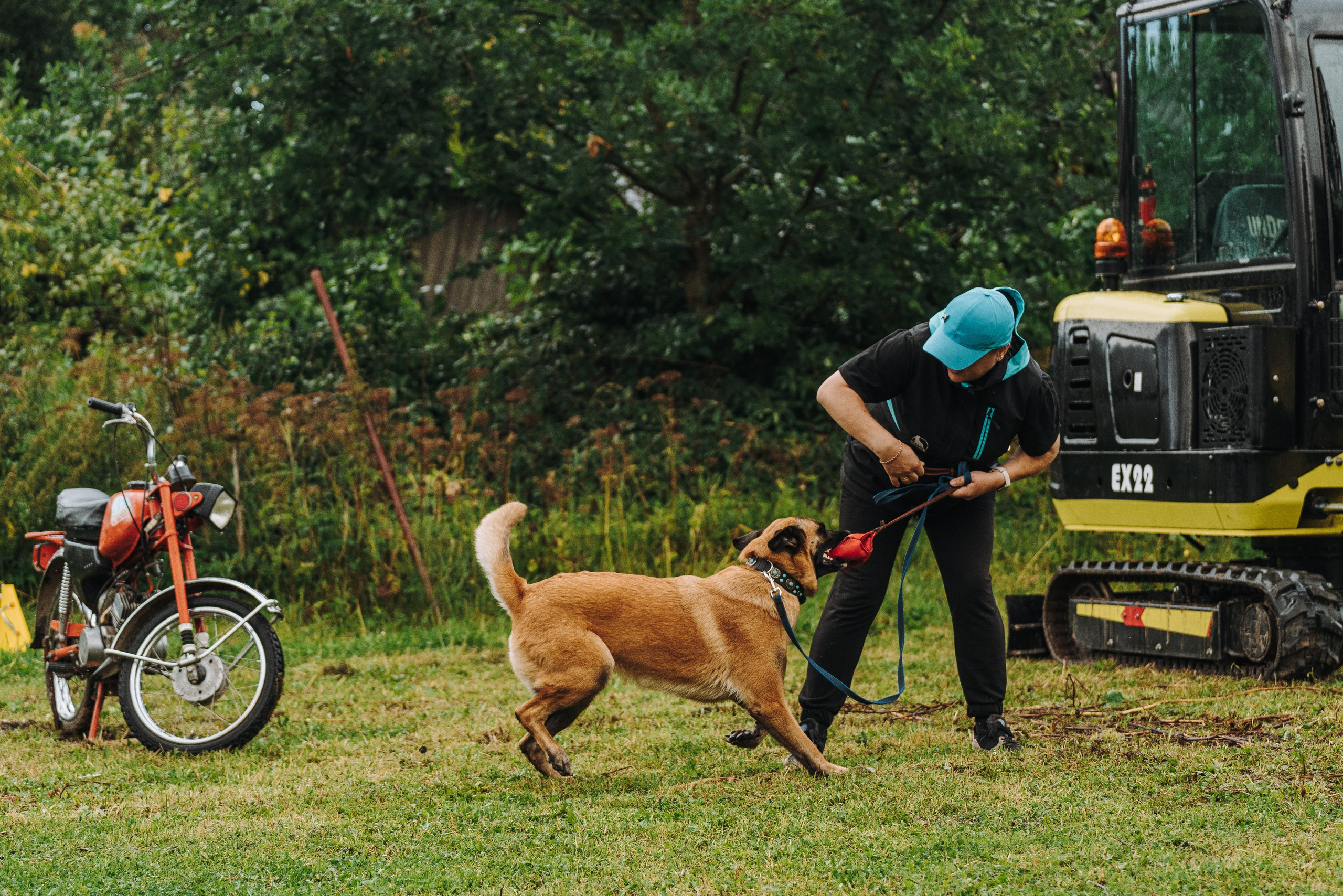 Соревнования по ноузворку в Новожилово. Фотограф анималист в Спб недорого Олеся Майорова