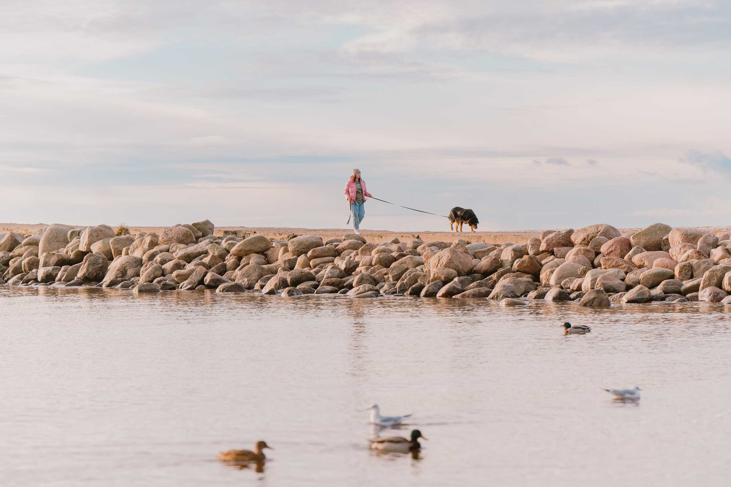 Глаша и Любовь. Фотограф анималист в Спб недорого Олеся Майорова