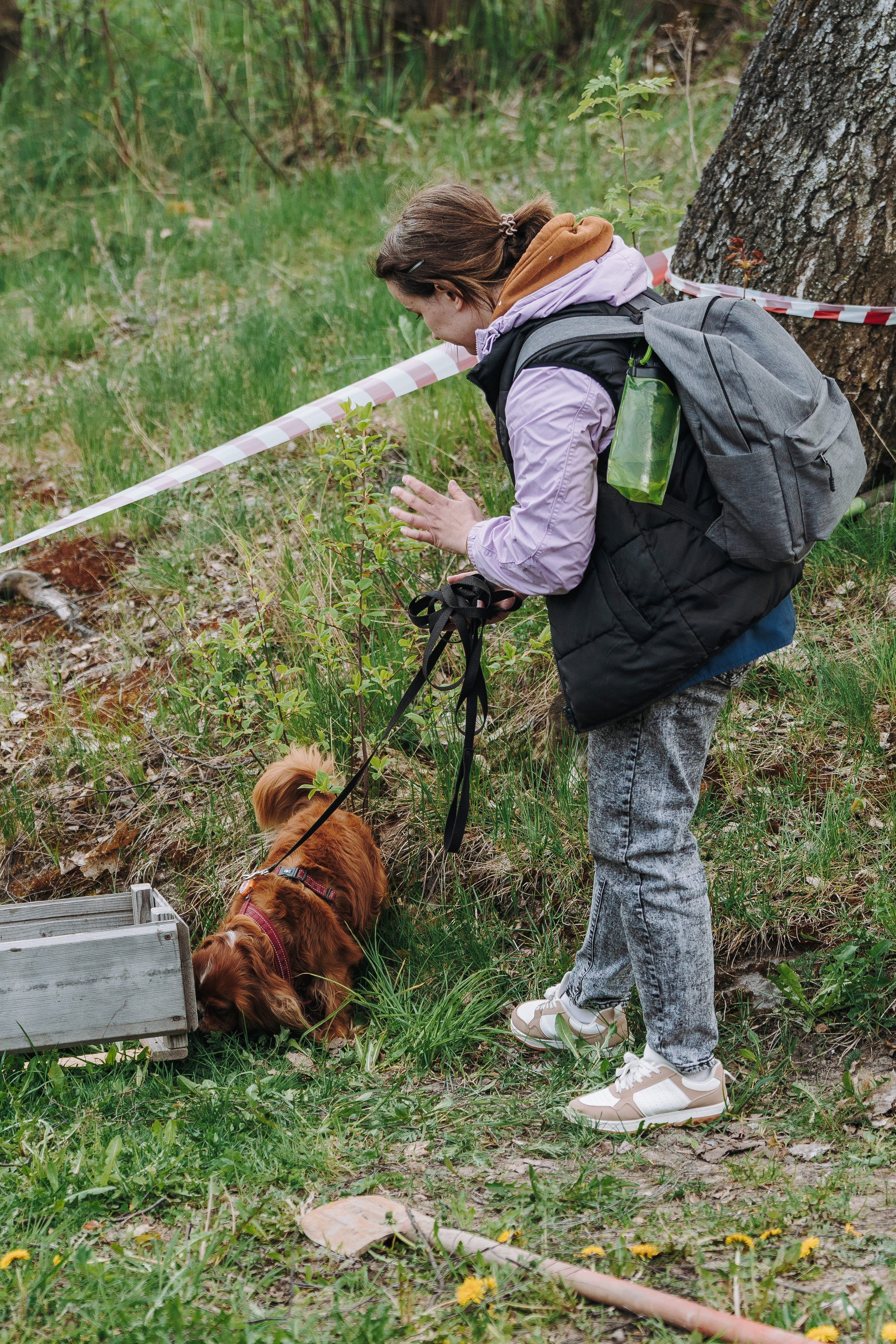 Соревнования по ноузворку в Лосево. Фотограф анималист в Спб недорого Олеся Майорова