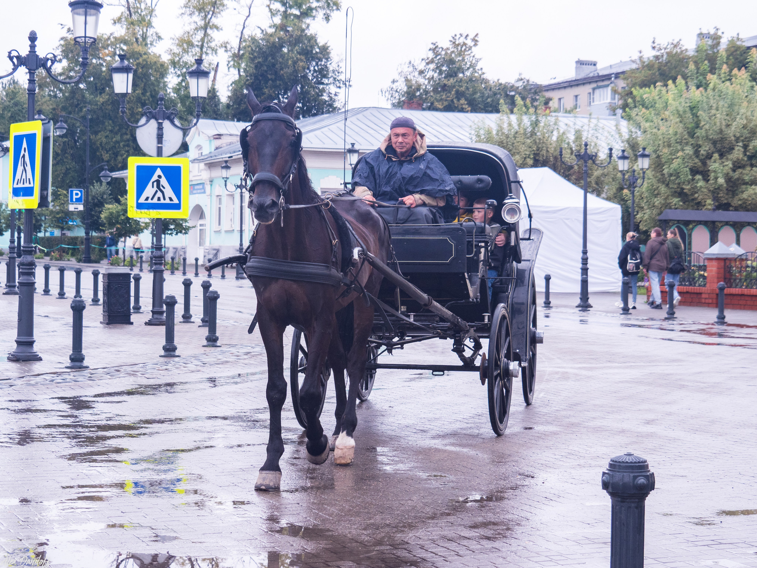 День города Муром 2025. Муром-Инфо. Новости культуры, образования, спорта в городе Муром
