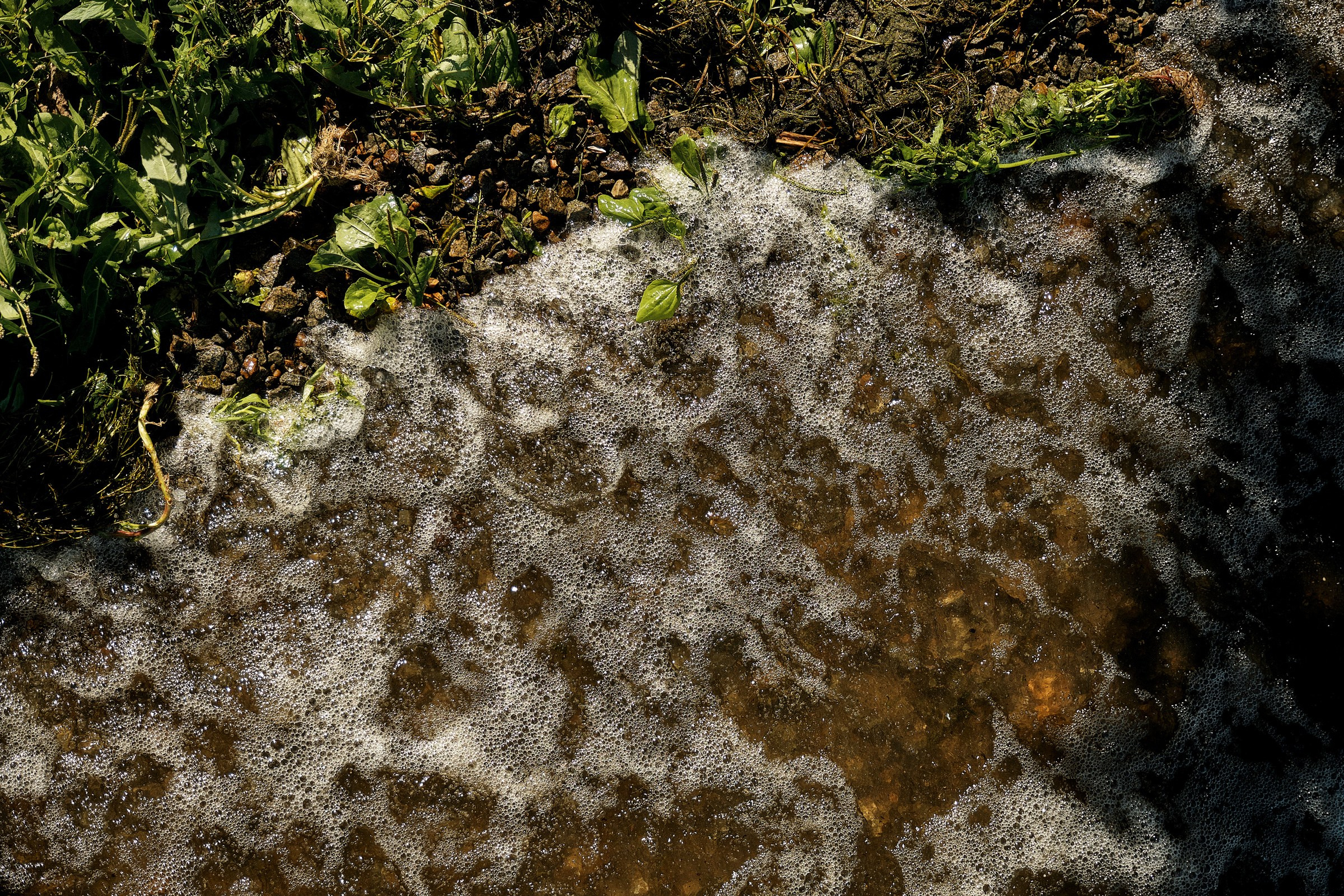 Дмитрий и Ирина. Профессиональный фотограф в Екатеринбурге Юра Сахар