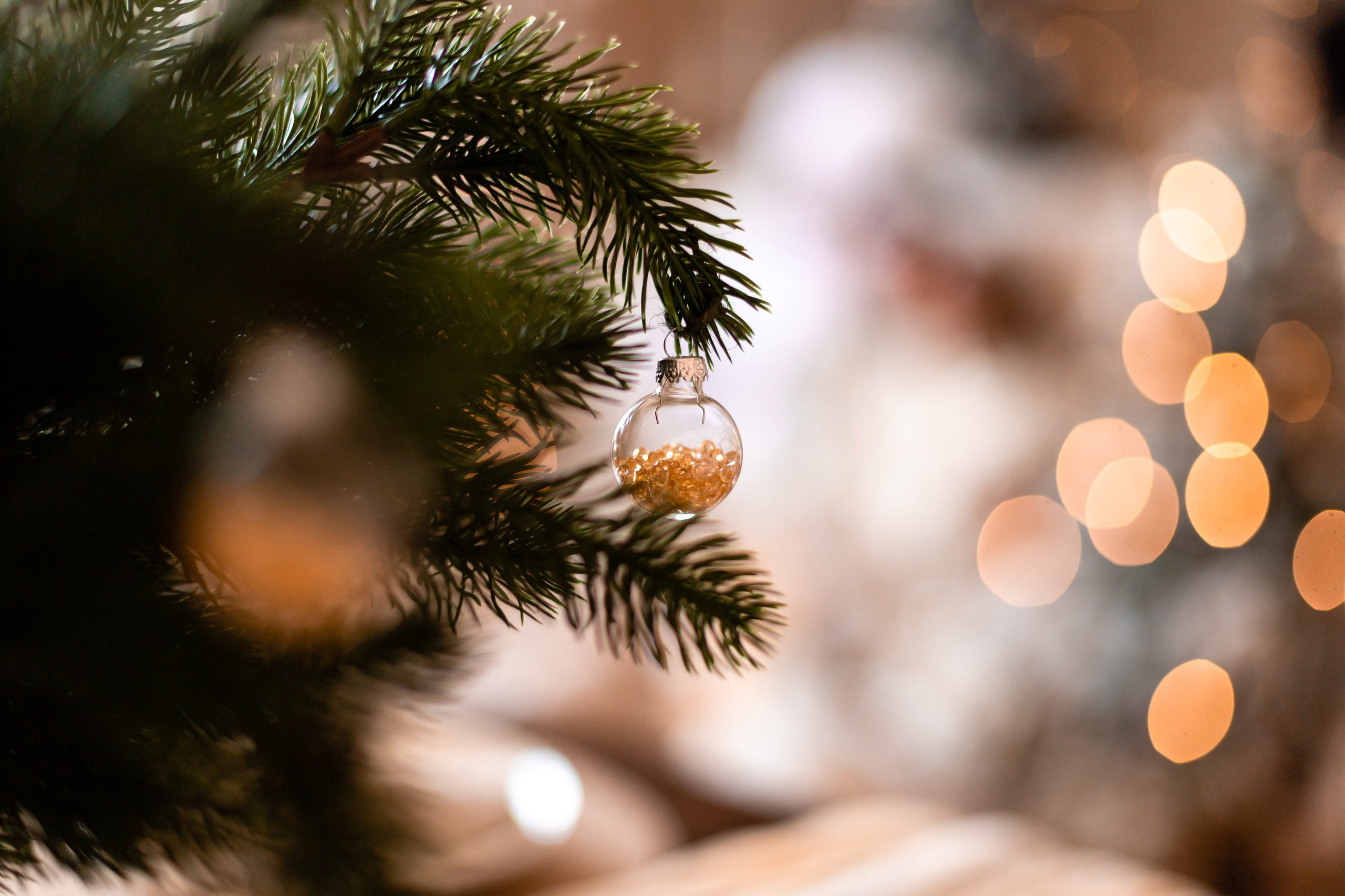 Семейная Новогодняя фотосессия. Семейный и детский фотограф в Хабаровске Алевтина Проскурякова