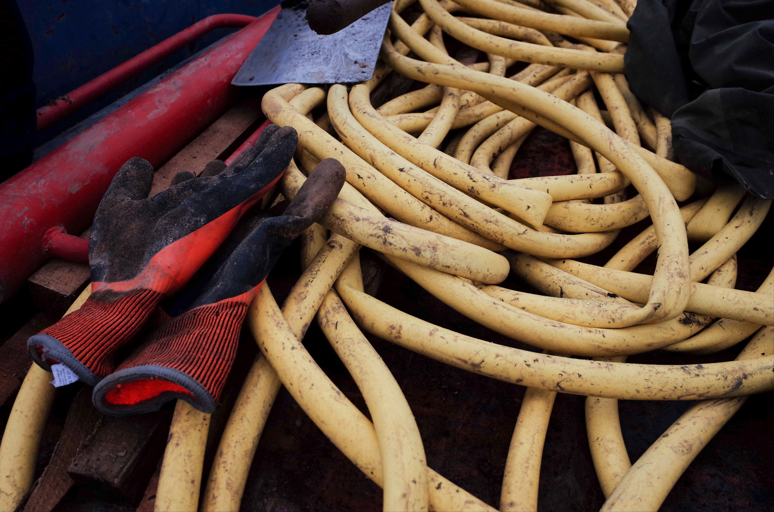 Farmers. Aleksander Chernov — Documentary filmmaker and photographer