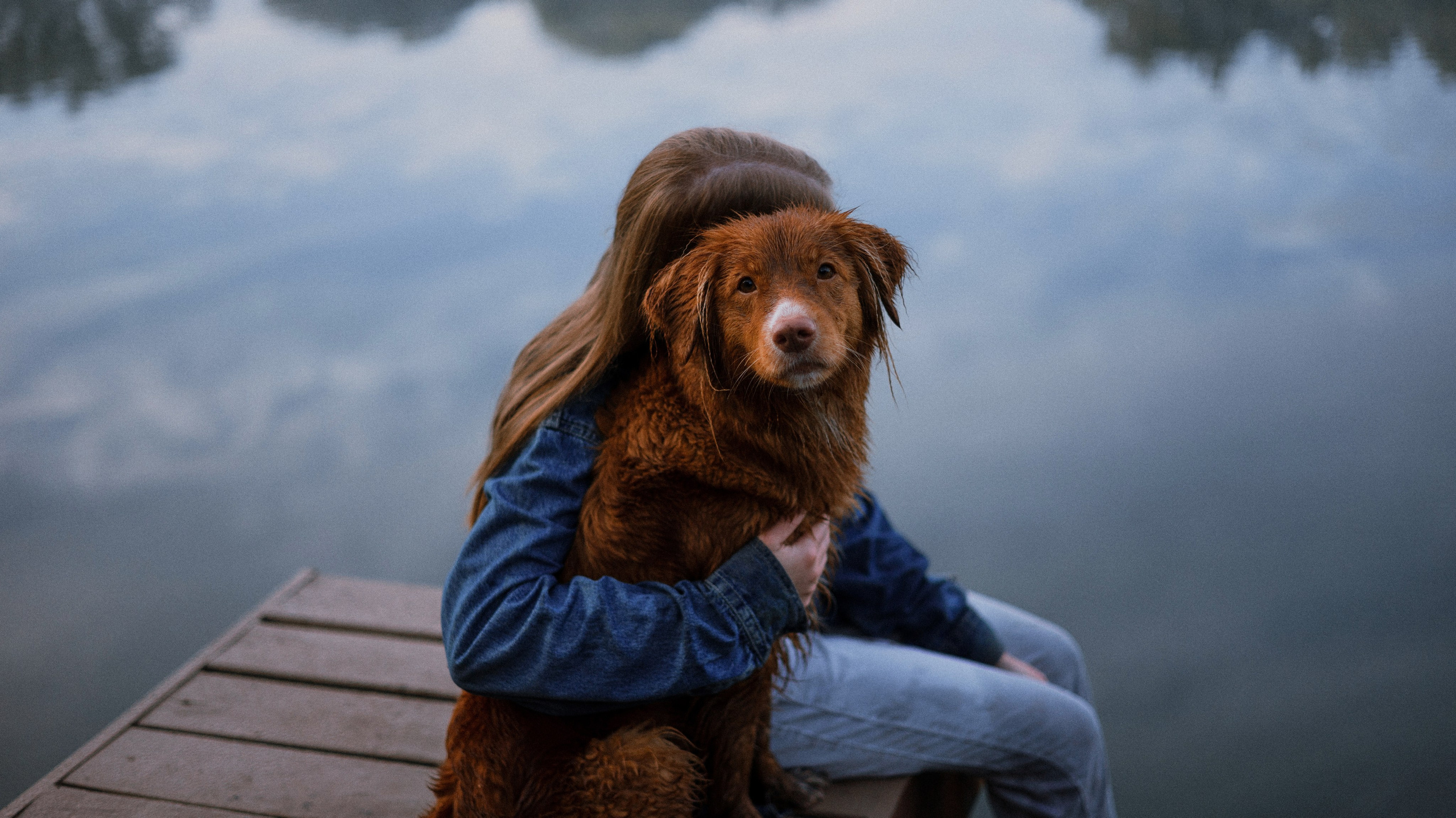 Ксюша и Мэди. Фотограф-анималист Богданова Полина