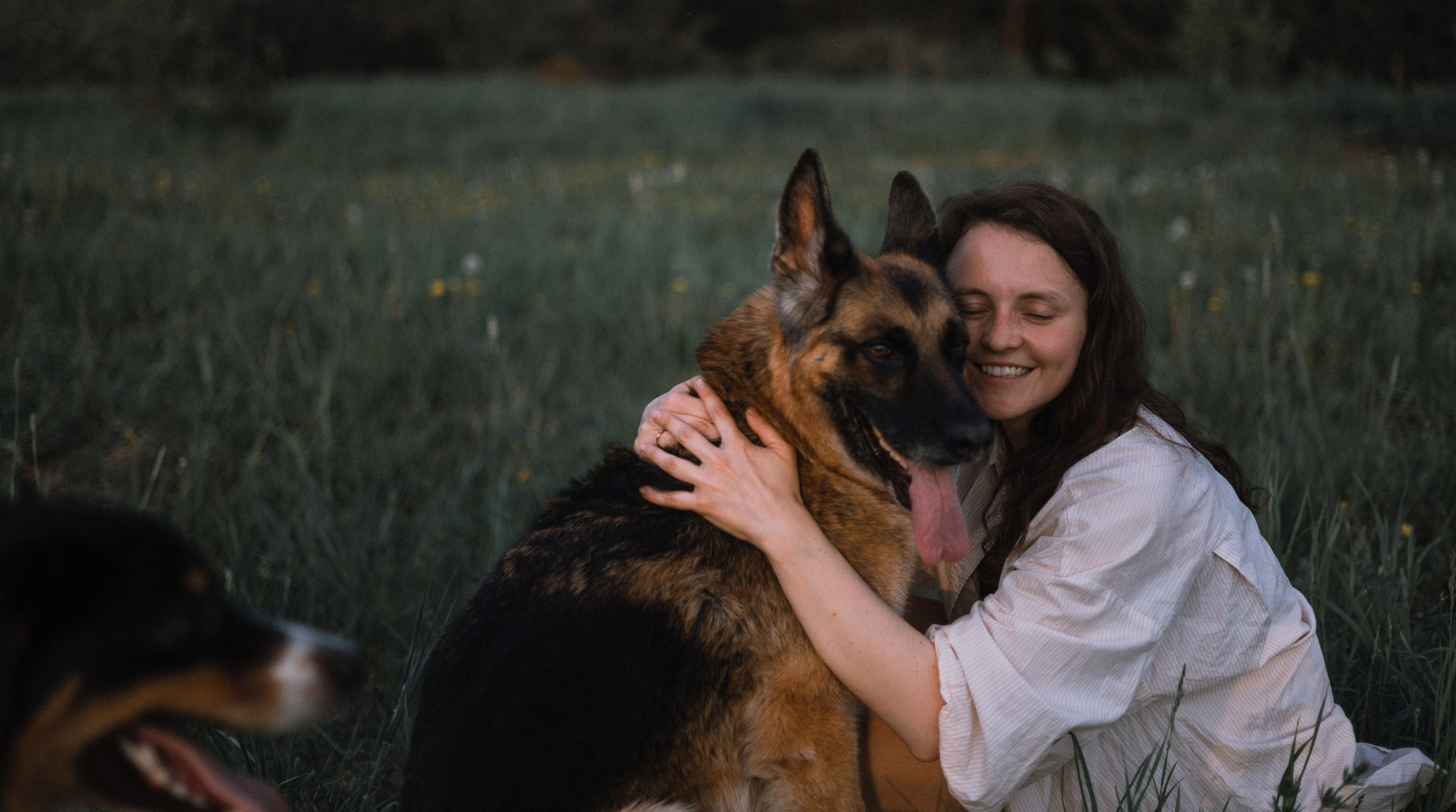 Настя, Шуня, Милка и Тигуан. Фотограф-анималист Богданова Полина