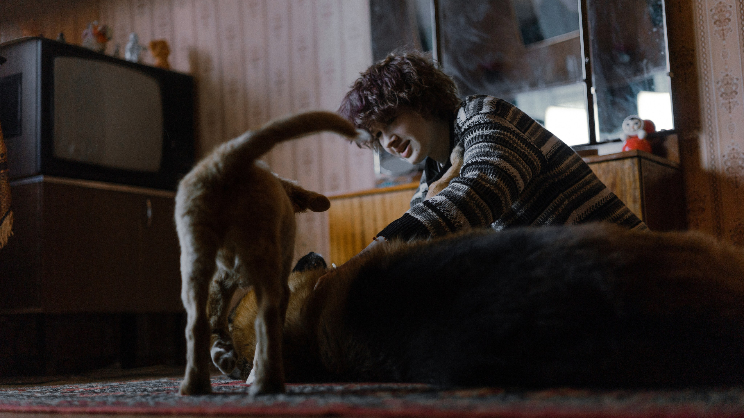 Лера, Реджи и Ральф. Фотограф-анималист Богданова Полина