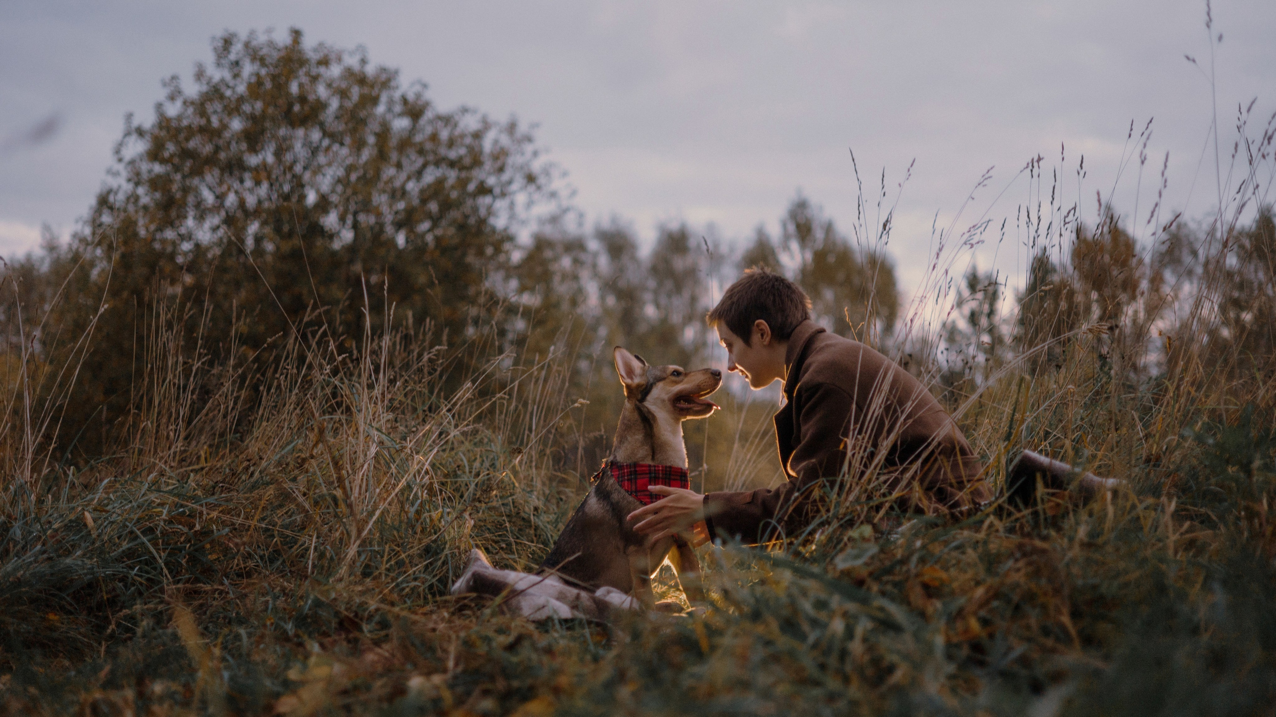 Маша, Катя, Астрид и Мася. Фотограф-анималист Богданова Полина